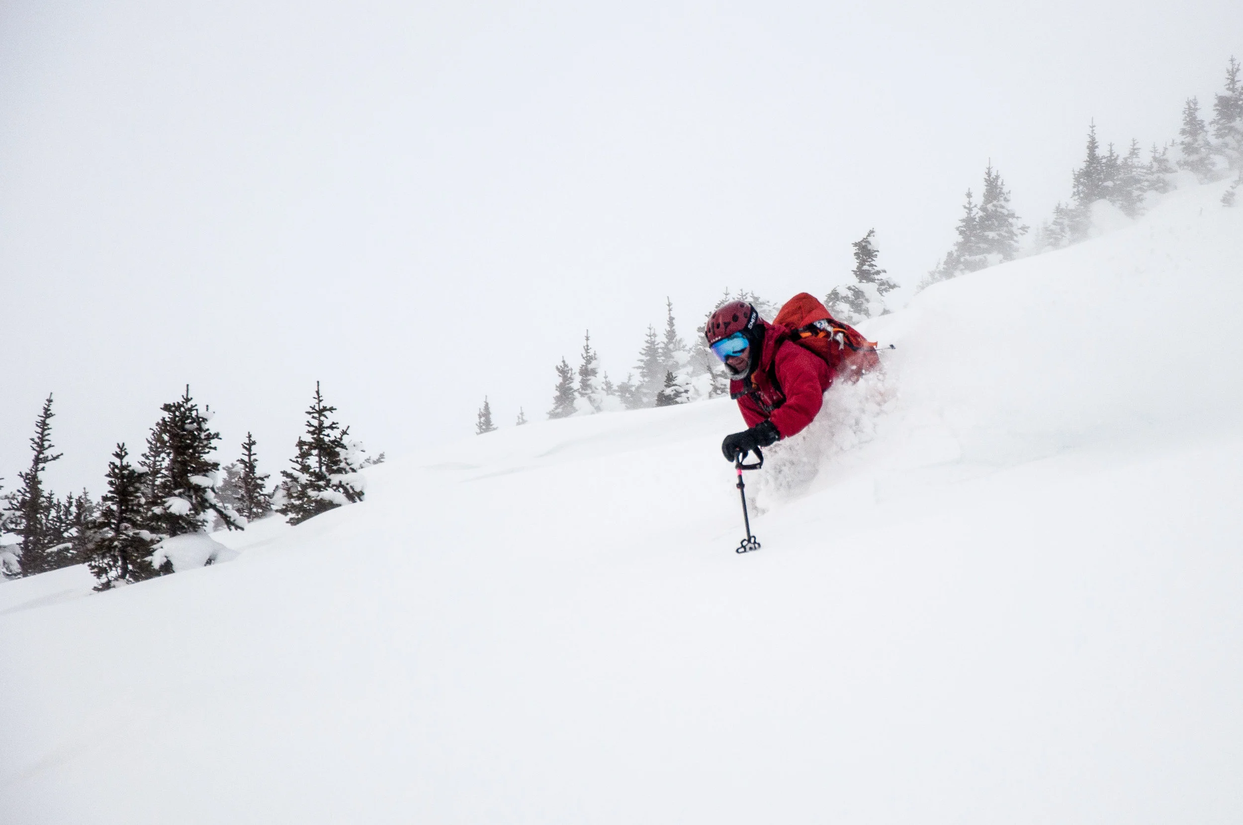 _DSC8373.jpg