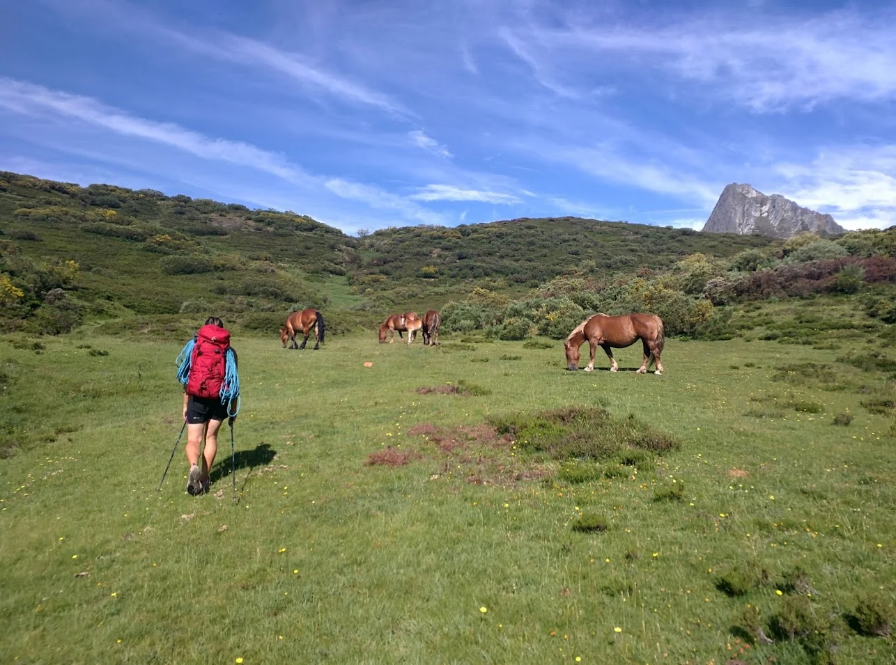 Not the most obvious trail - but just ignore the cows and horses and walk towards the pointy thing.