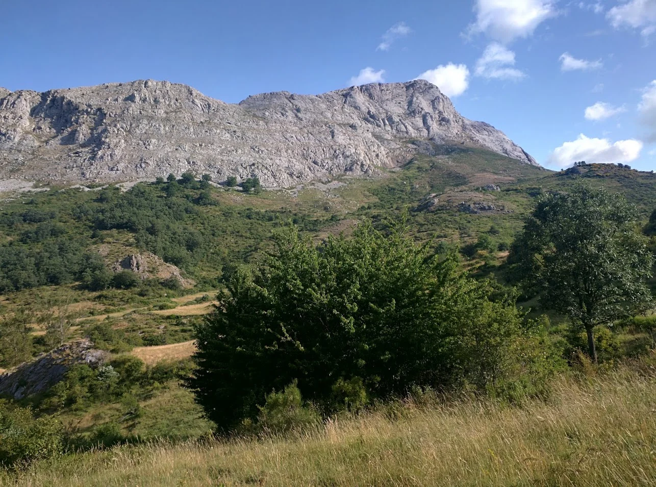 Pretty unassuming, but it took us ages to get to the base of it.