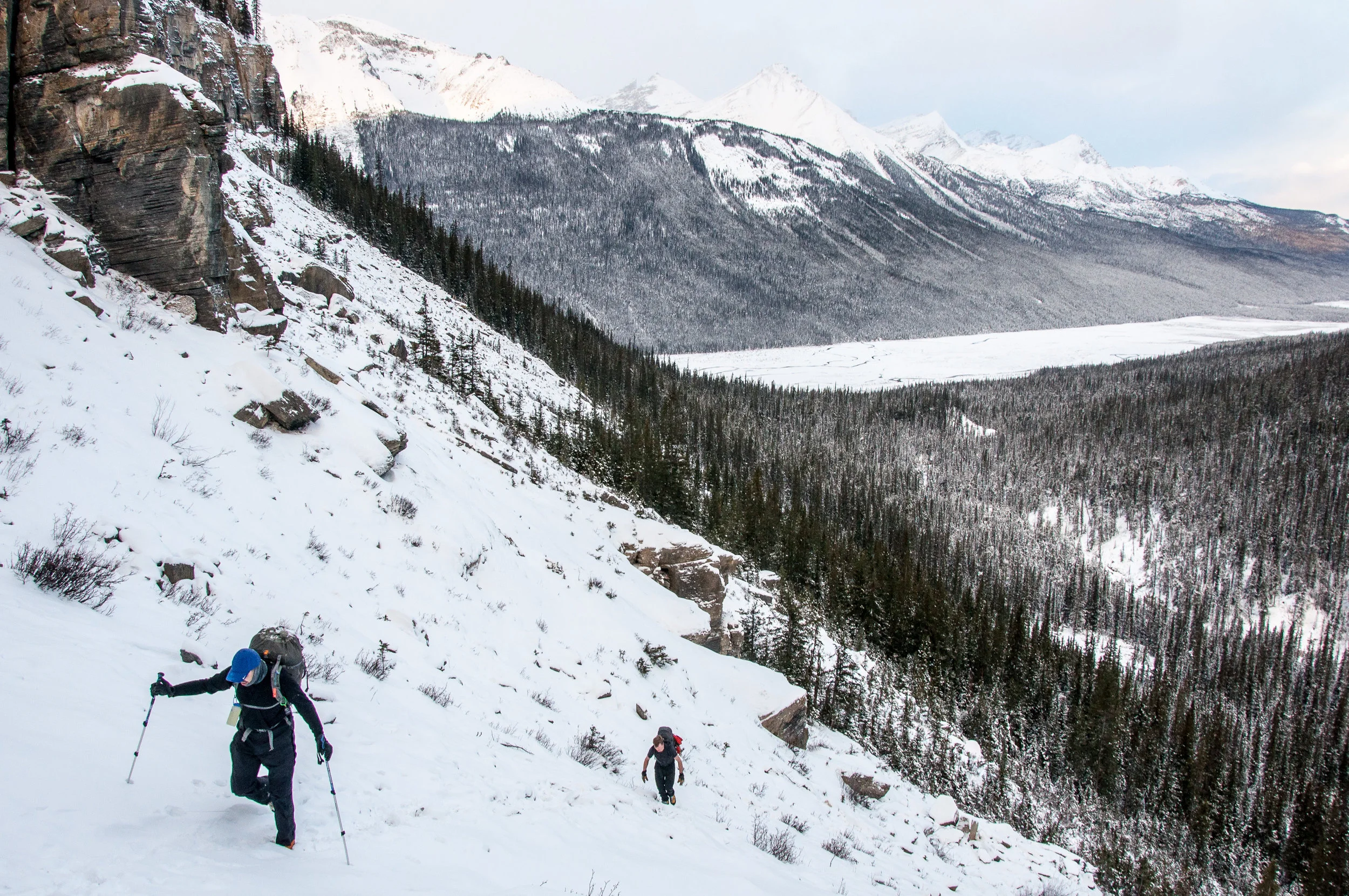 _DSC7877.jpg