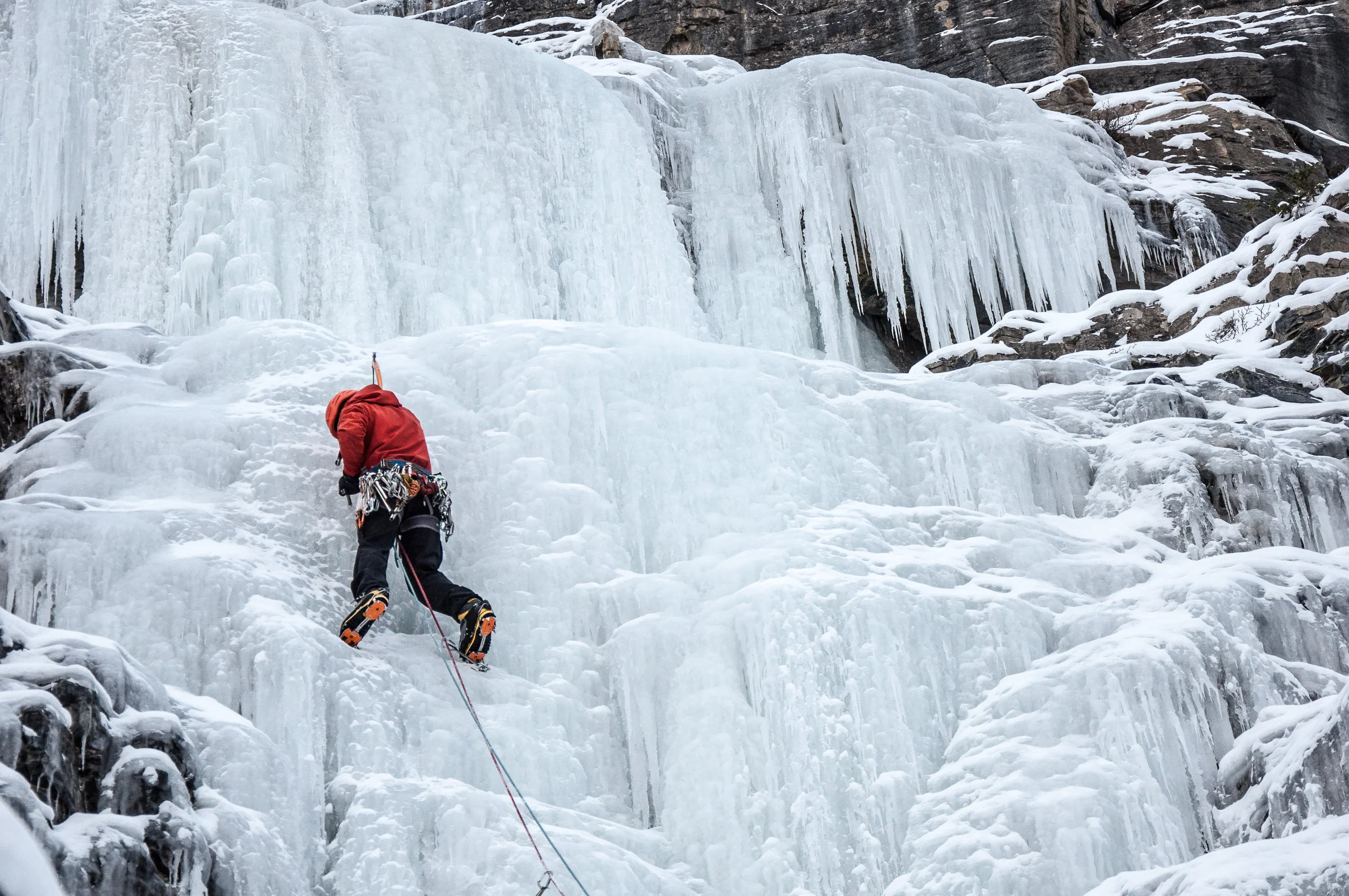 _DSC7889.jpg