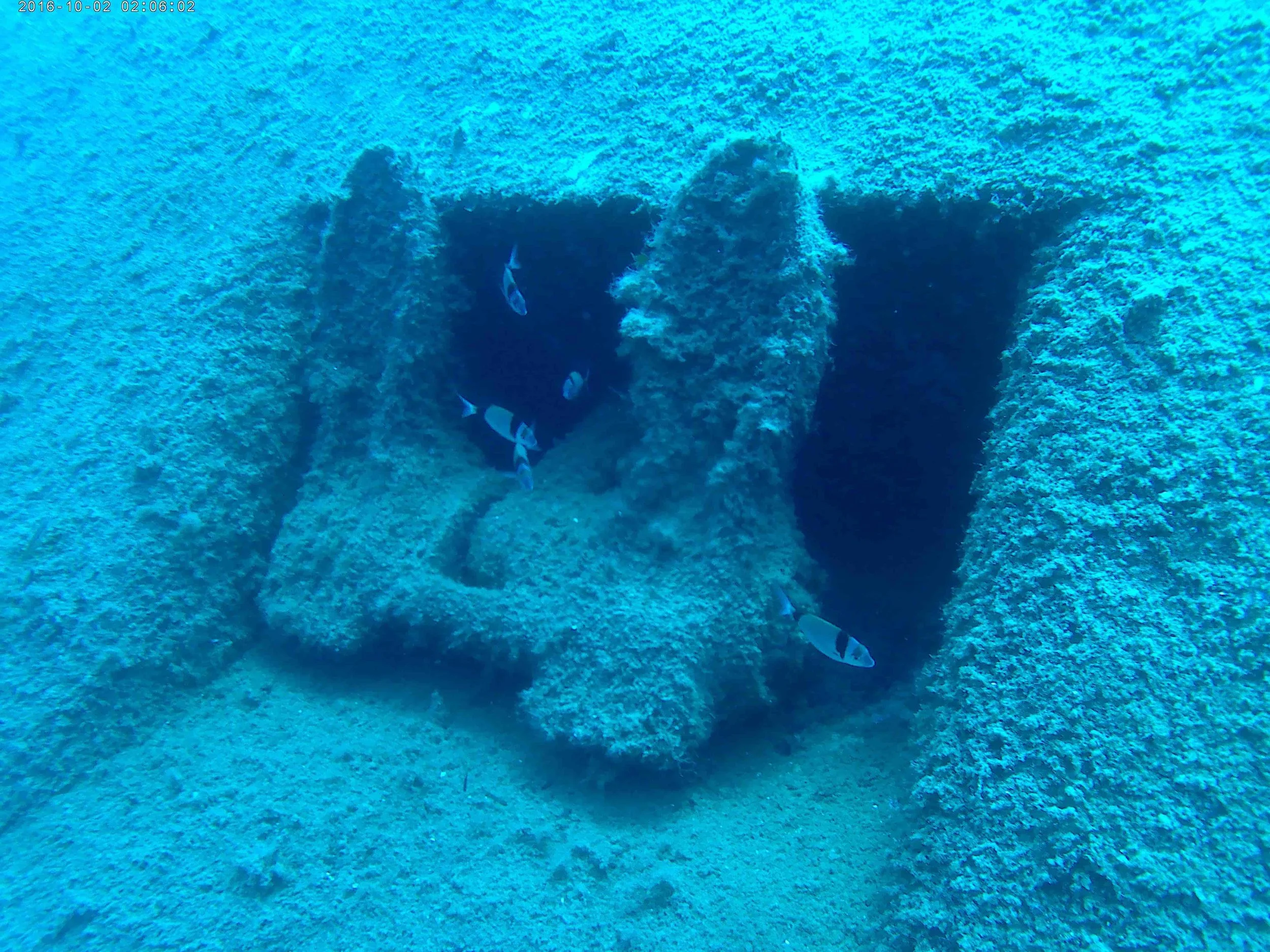 Samina wreck. Photo: S. Middleton