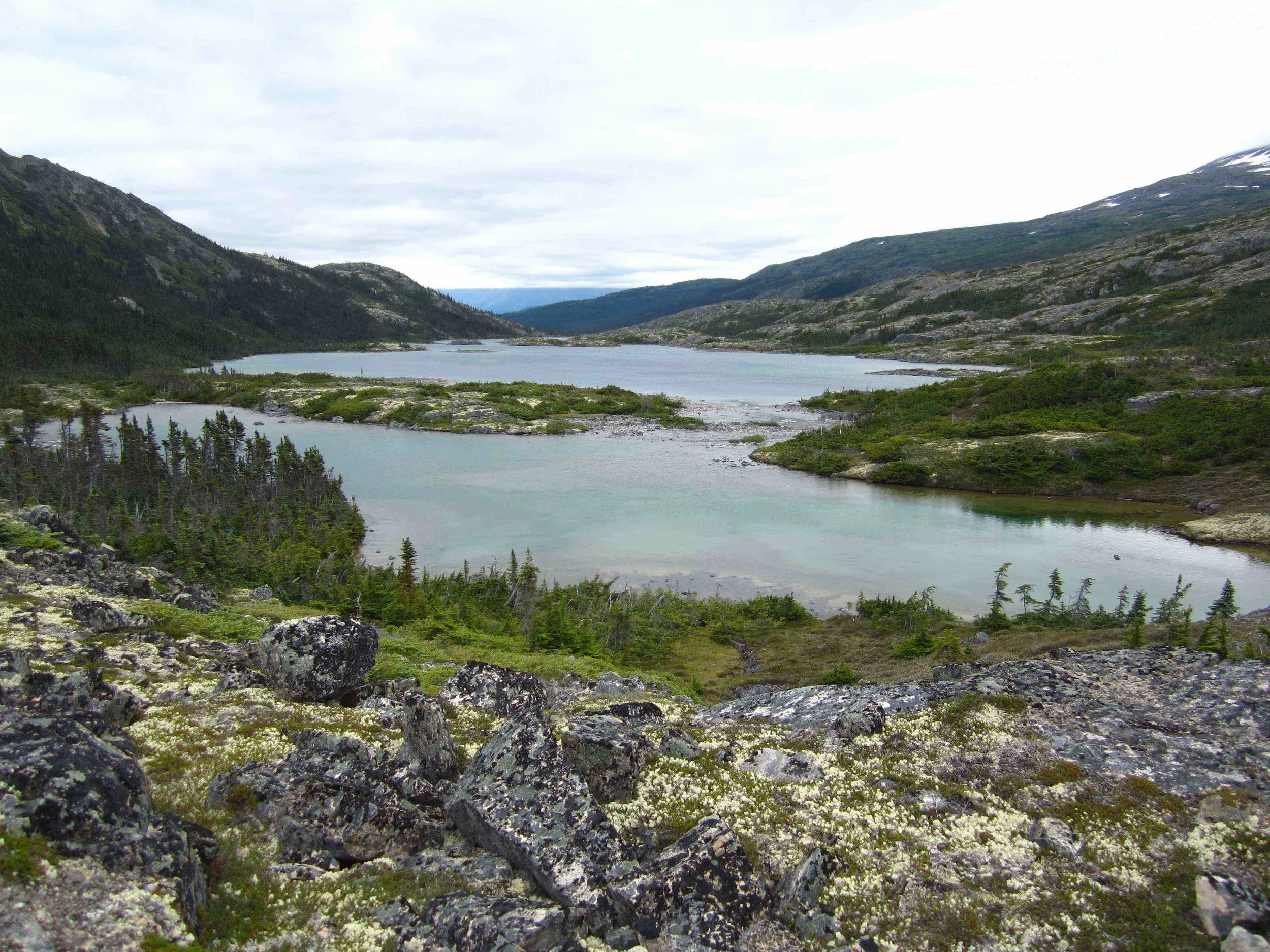 Entering the boreal forest area on the Canadian side.
