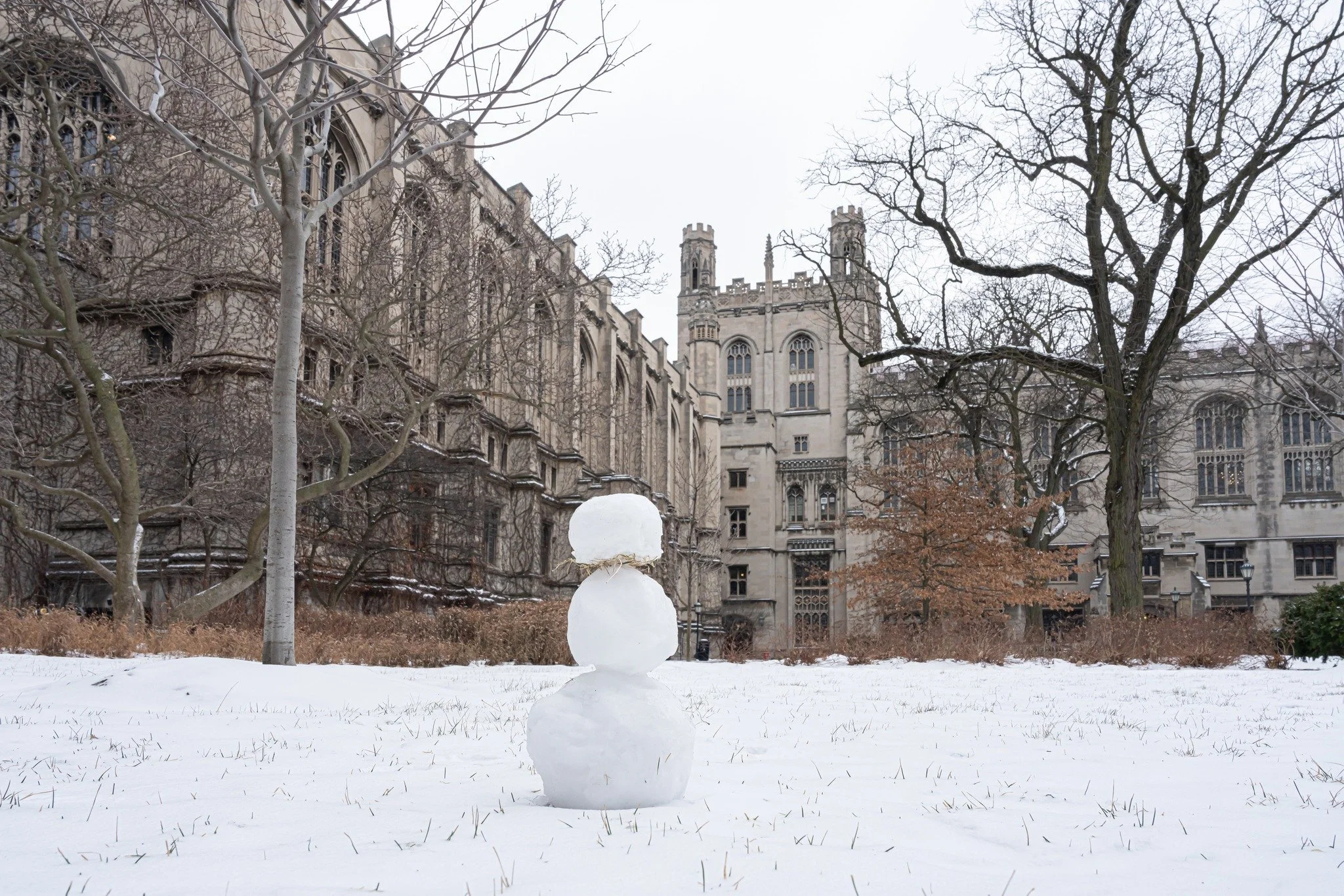 UC_snowman_2023.jpg