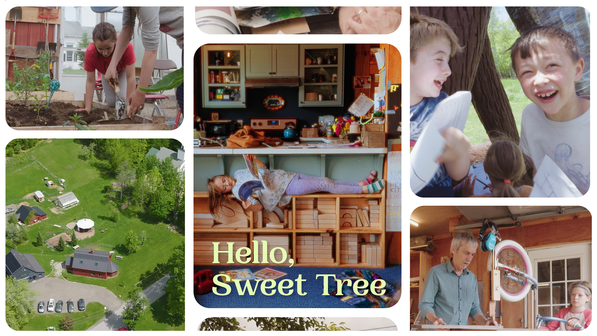 SWEET TREE ARTS | Hello Sweet Tree