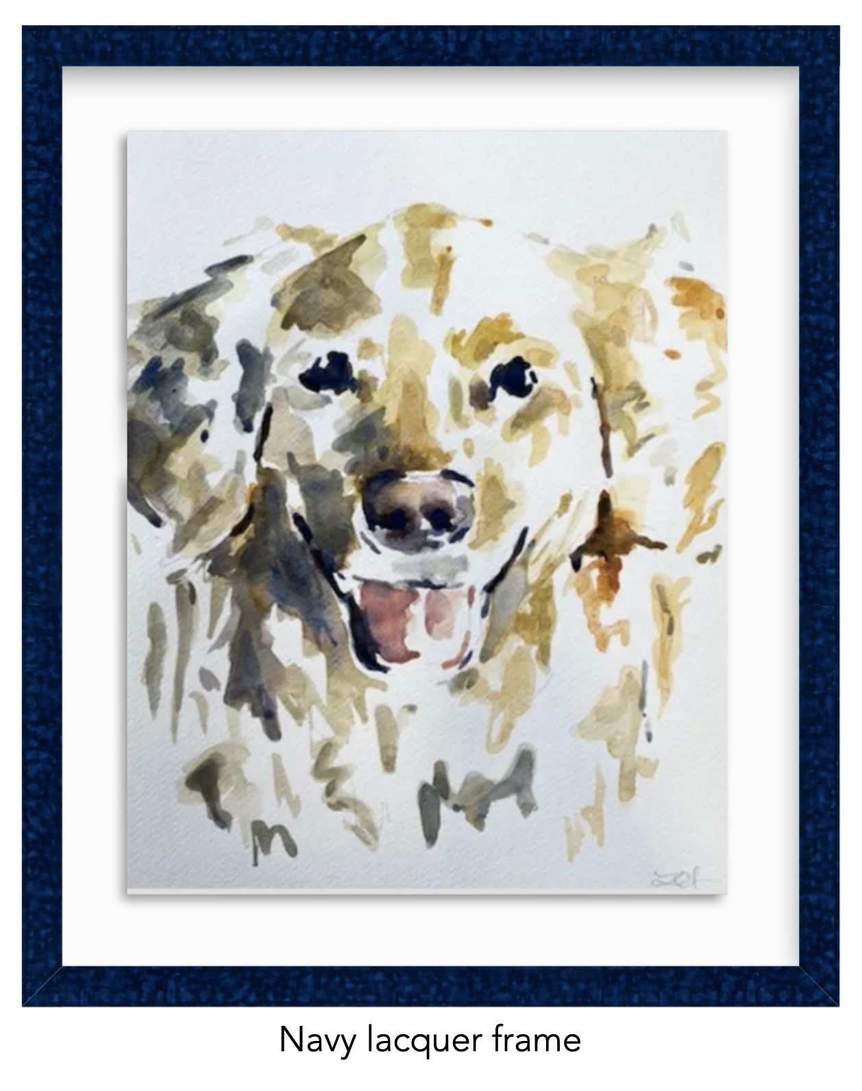 Screenshot 2025-05-19 at 11.22.57 AM.png