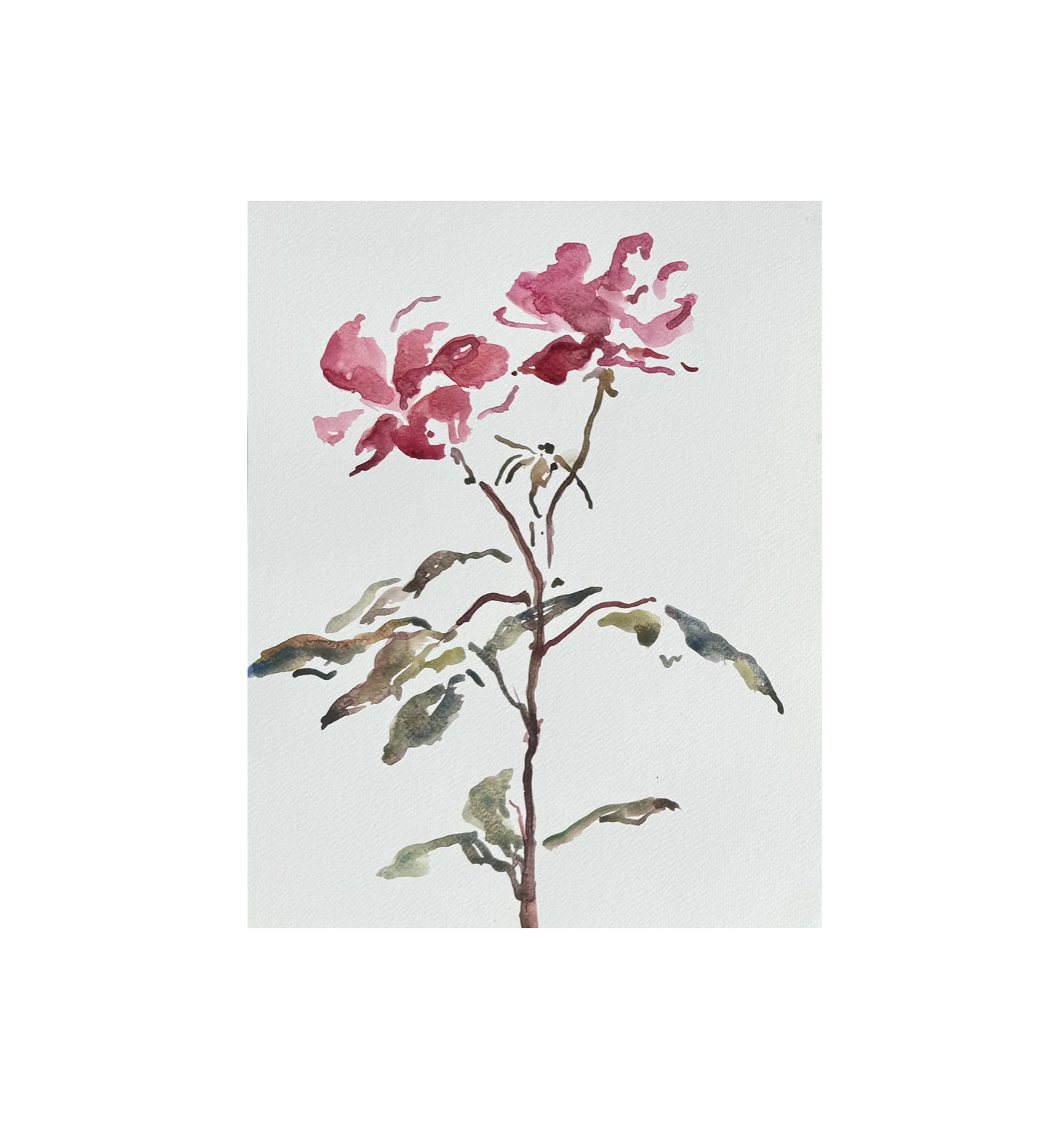 Screenshot 2025-11-12 at 4.14.52 PM.png