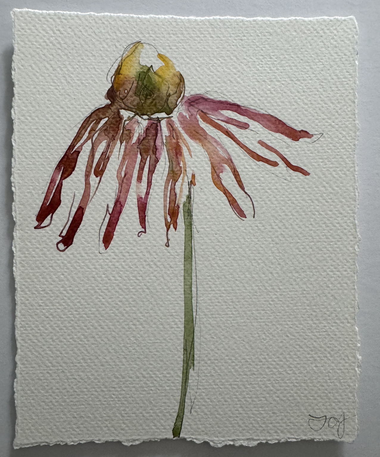 Screenshot 2026-01-15 at 6.12.42 PM.png