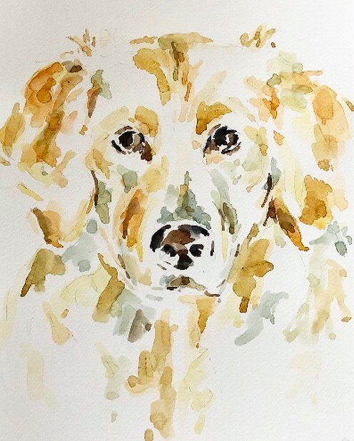Millie, age one: a commissioned pet portrait