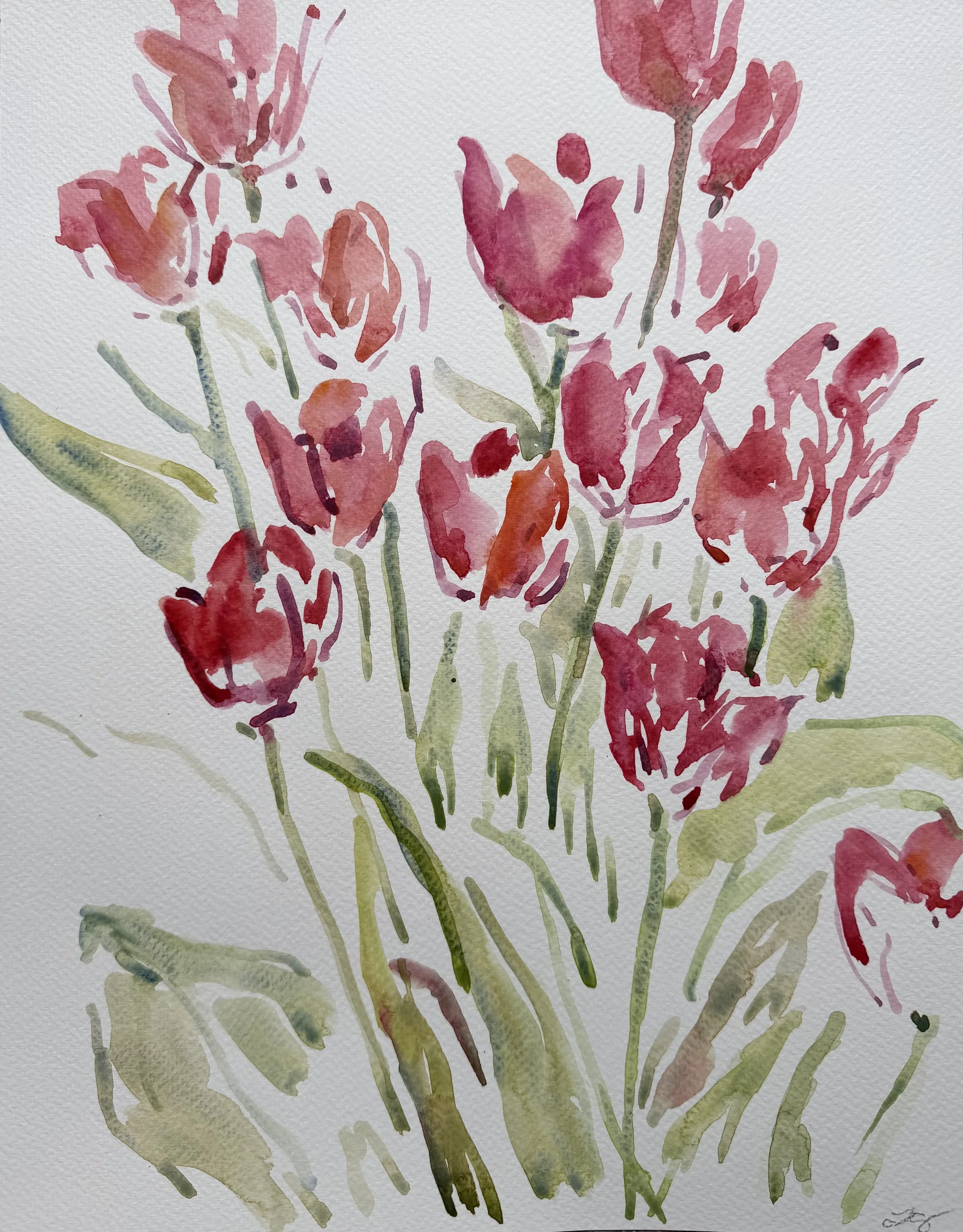 Tulips on Charles St, 11x14, $375.jpeg