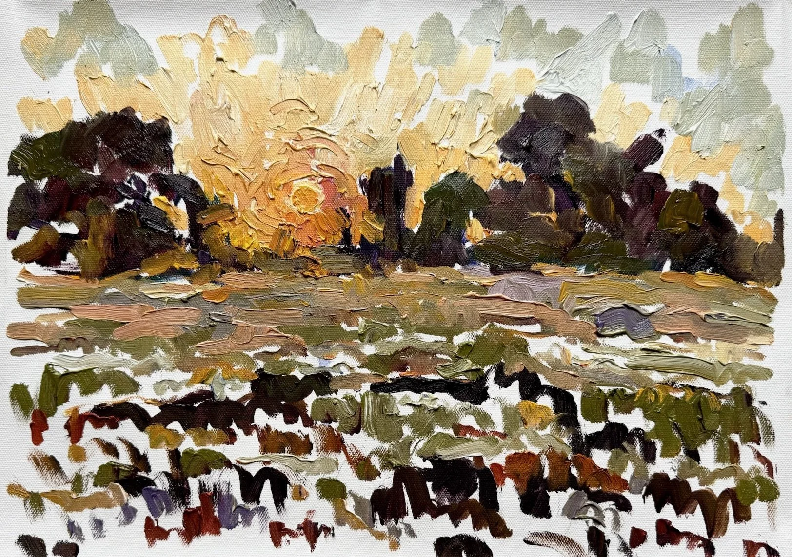 Sunset in the countryside, Aix-en-Provence, July 27.JPG