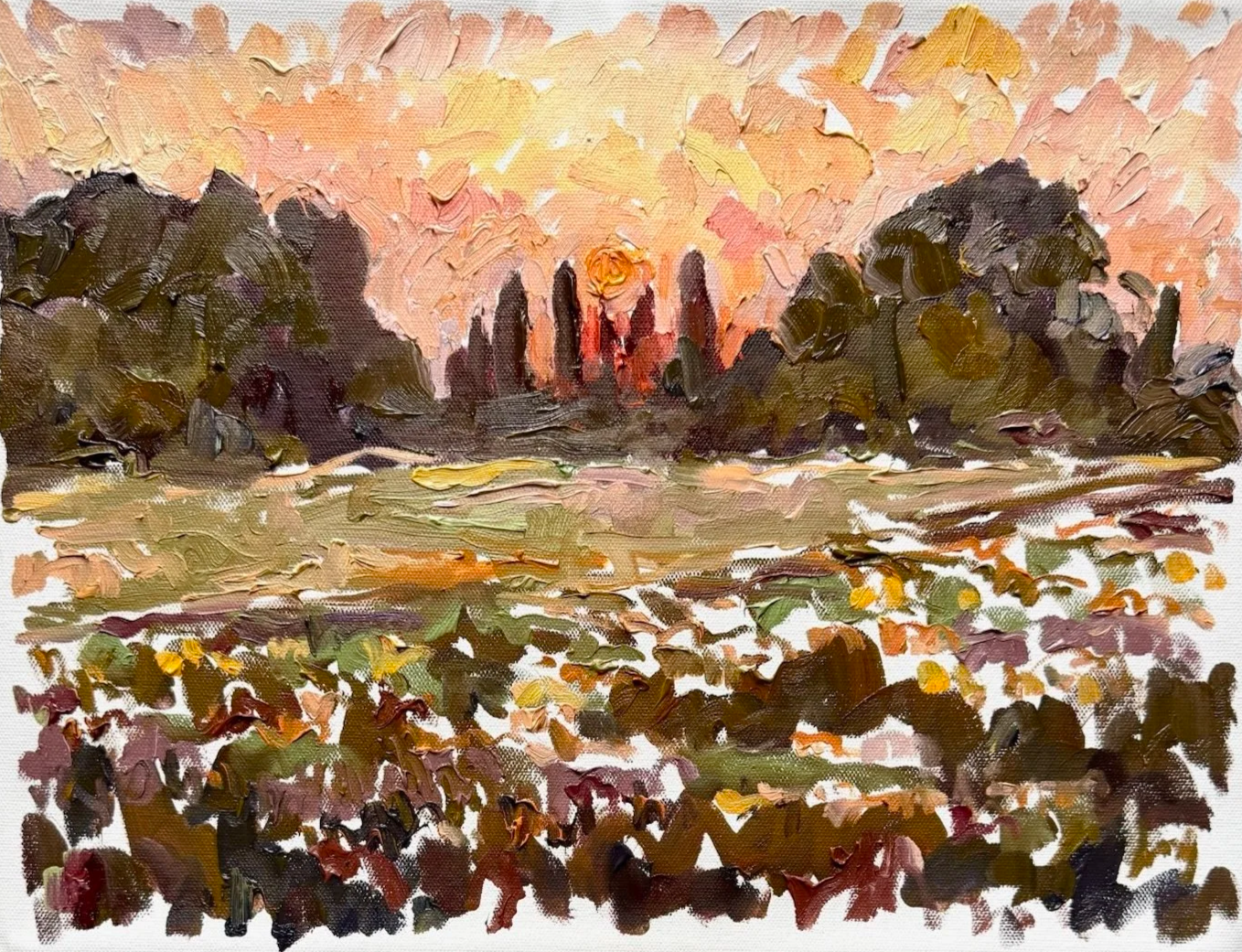 Sunset+in+the+countryside%2C+Aix-en-Provence%2C+July+30.png