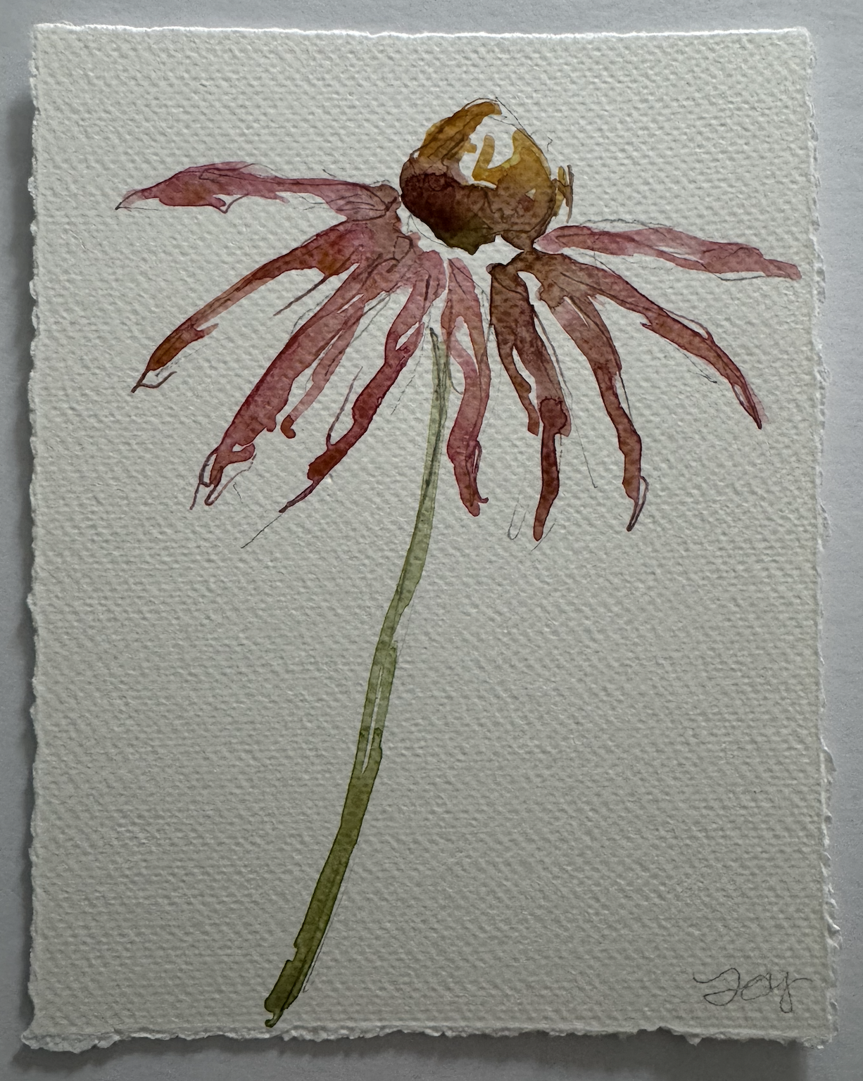 Screenshot 2026-01-15 at 6.10.18 PM.png