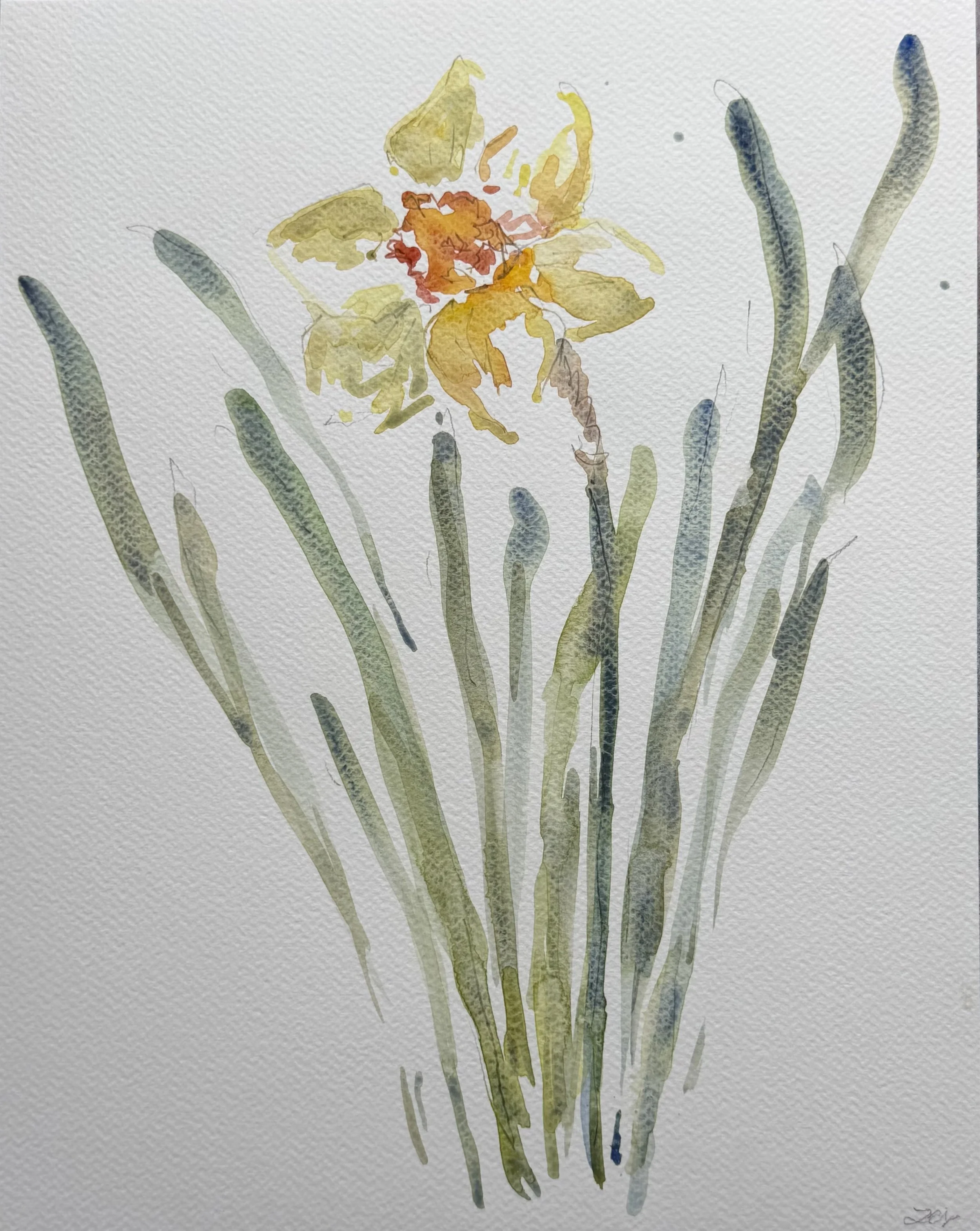 Daffodils, 11x14, $375(3).jpeg