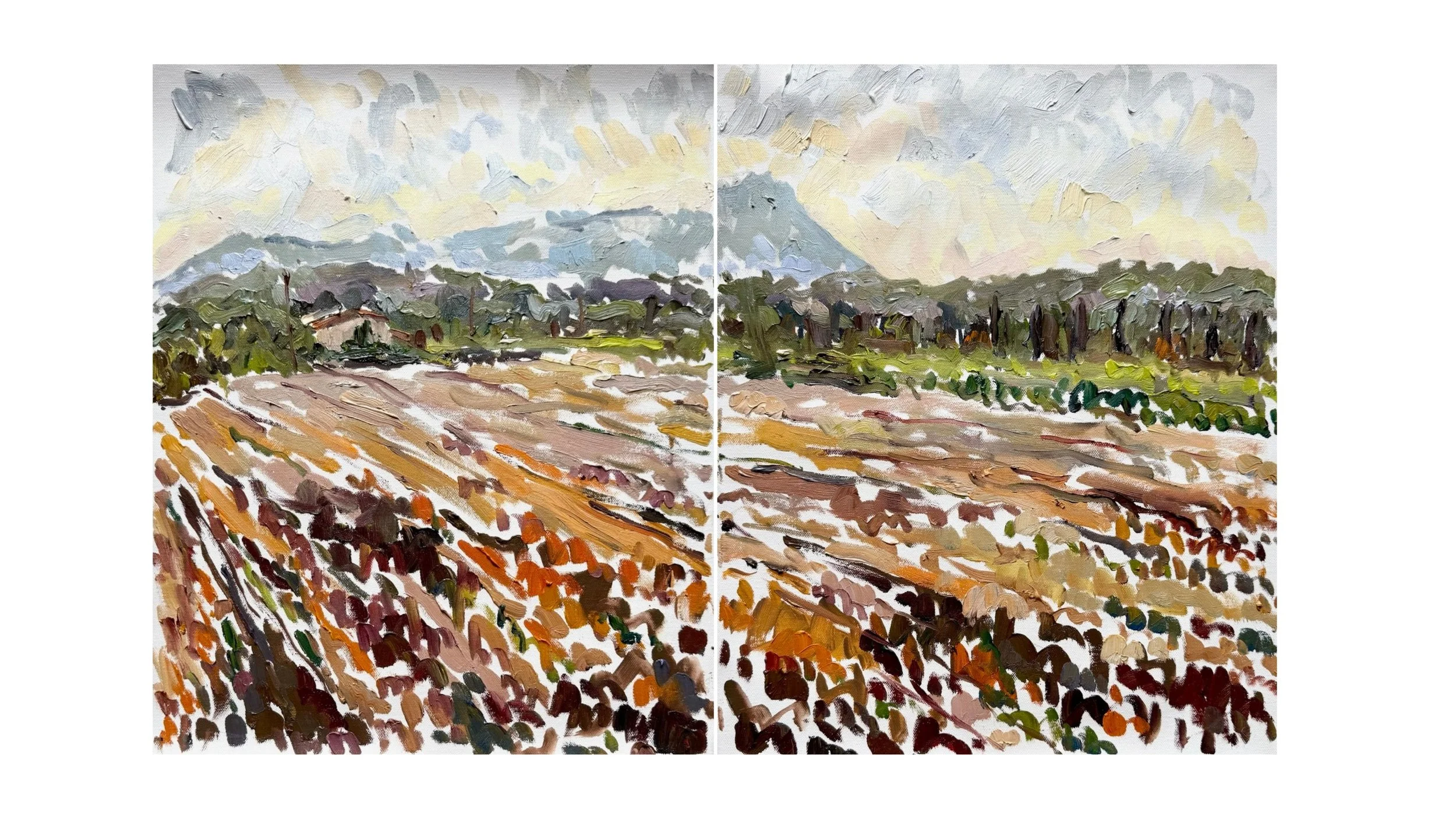 Clare - Summer 2026 Diptych and Triptychs (22).jpg
