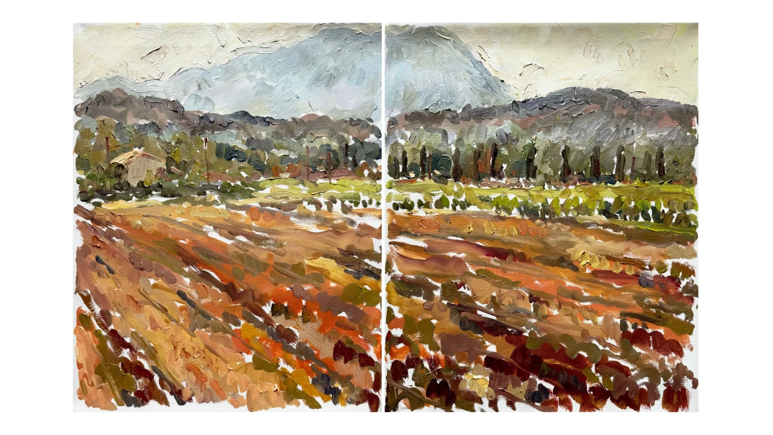 Clare - Summer 2026 Diptych and Triptychs (20).jpg
