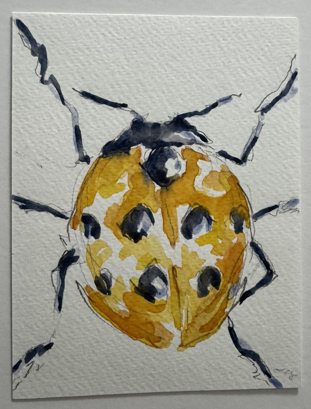 Screenshot 2026-01-15 at 6.25.44 PM.png