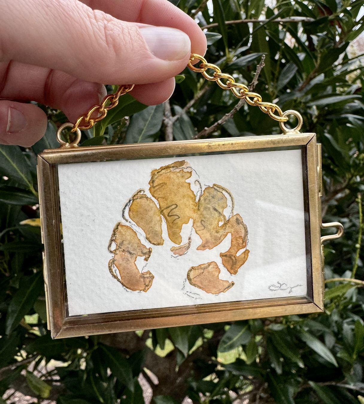 Screenshot 2024-11-27 at 5.04.04 PM.png