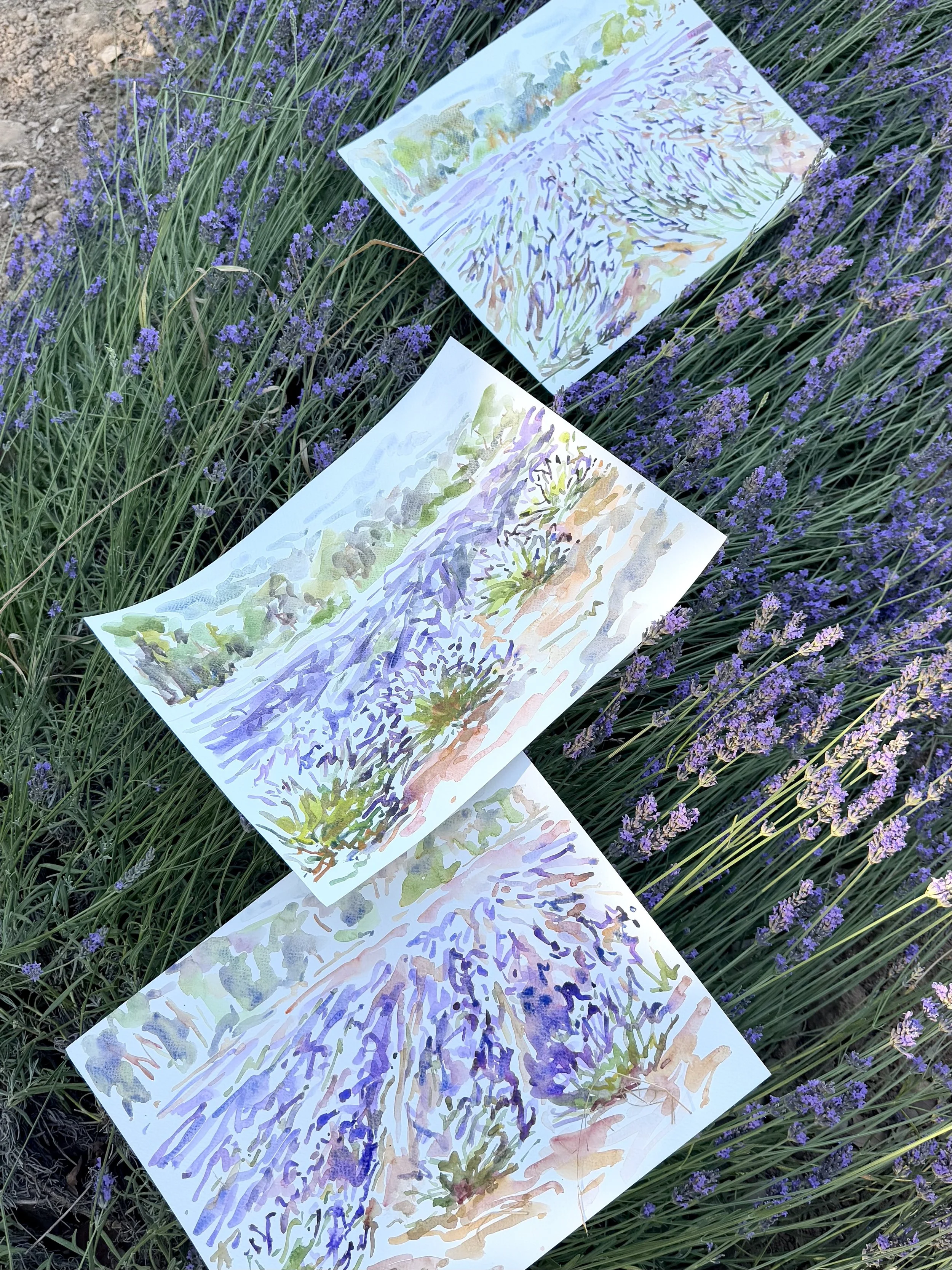 IMG_1248.jpeg (Copy)