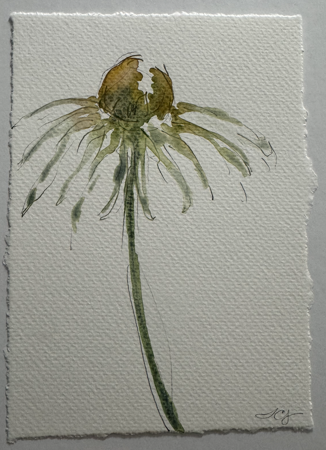 Screenshot 2026-01-15 at 6.13.06 PM.png