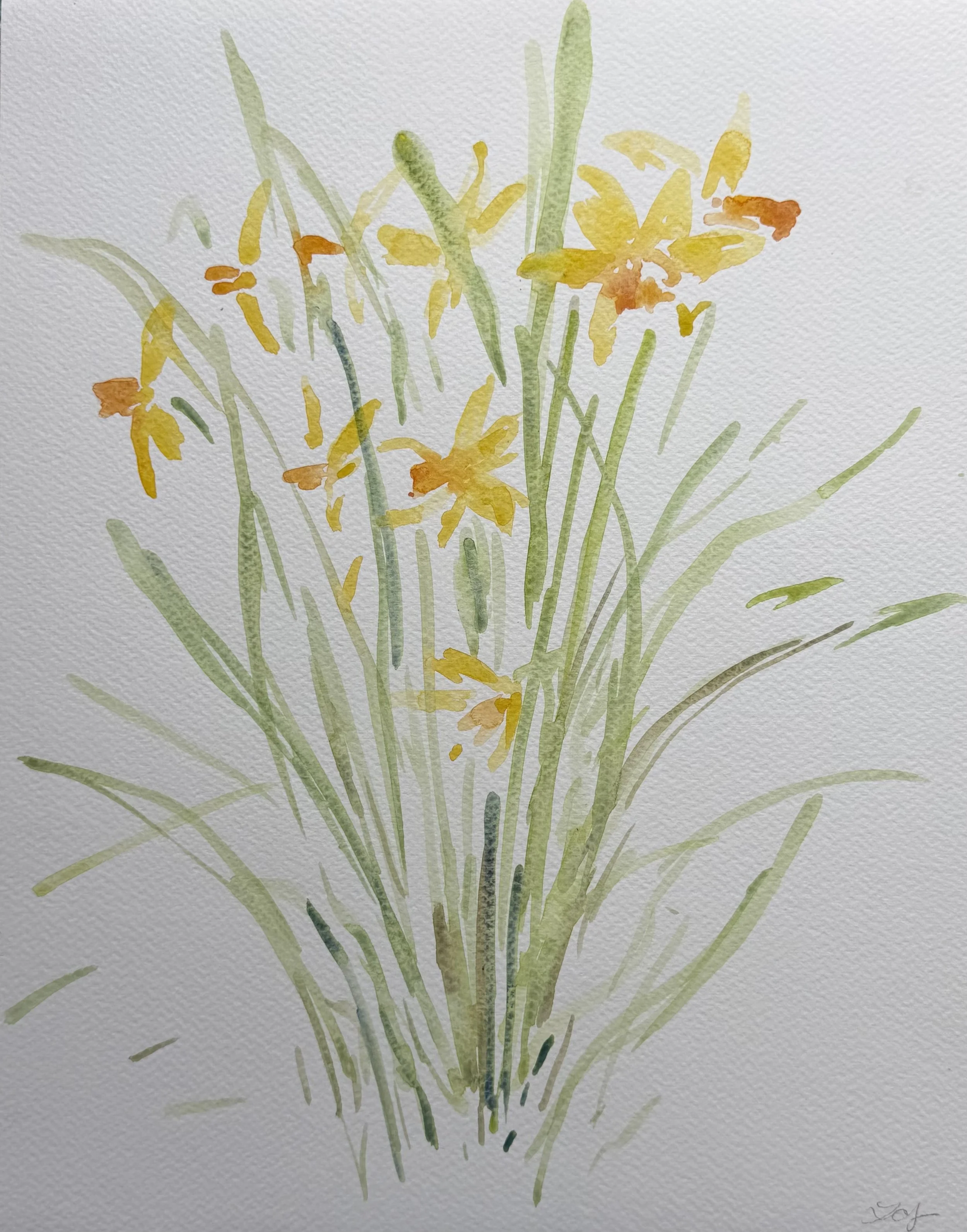 Daffodils, 11x14, $375(4).jpeg