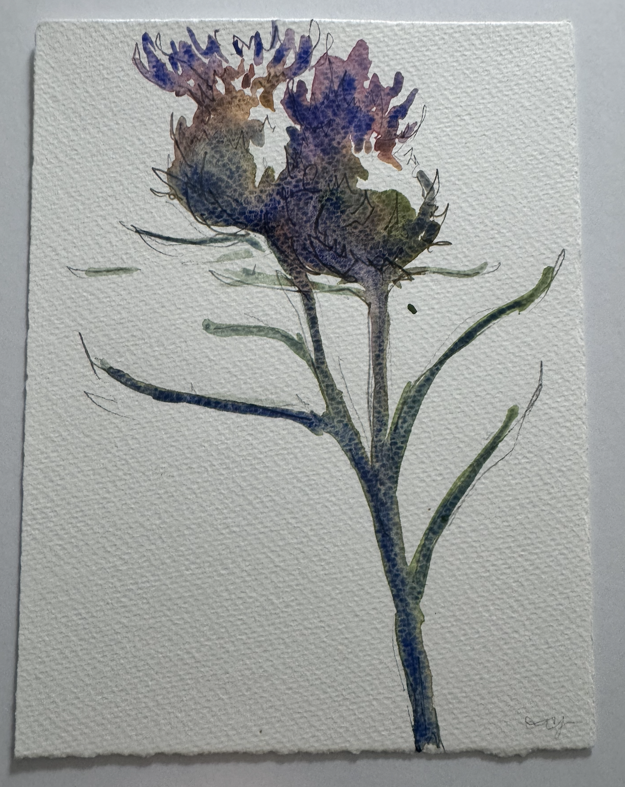 Screenshot 2026-01-15 at 6.32.09 PM.png