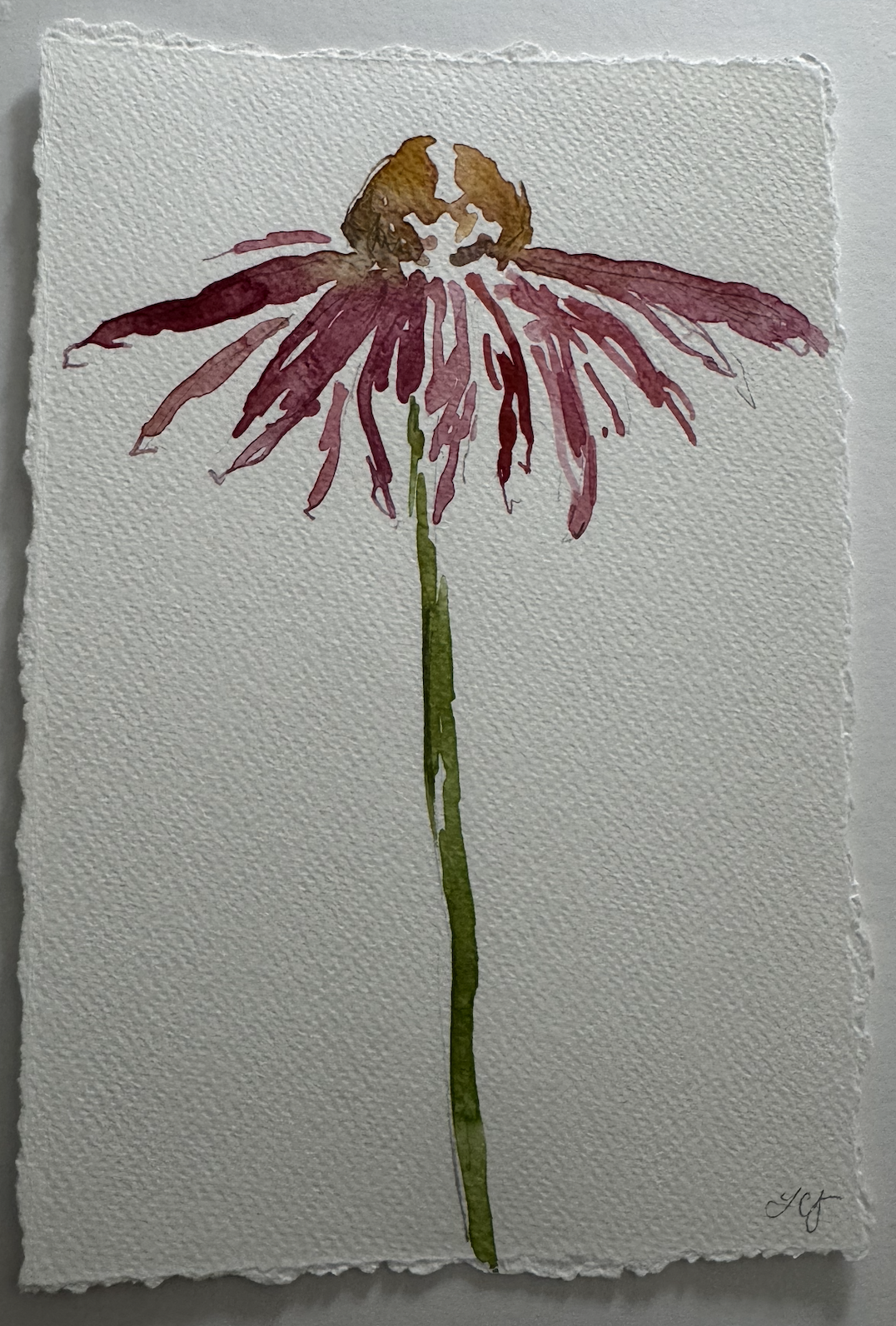 Screenshot 2026-01-15 at 6.38.46 PM.png