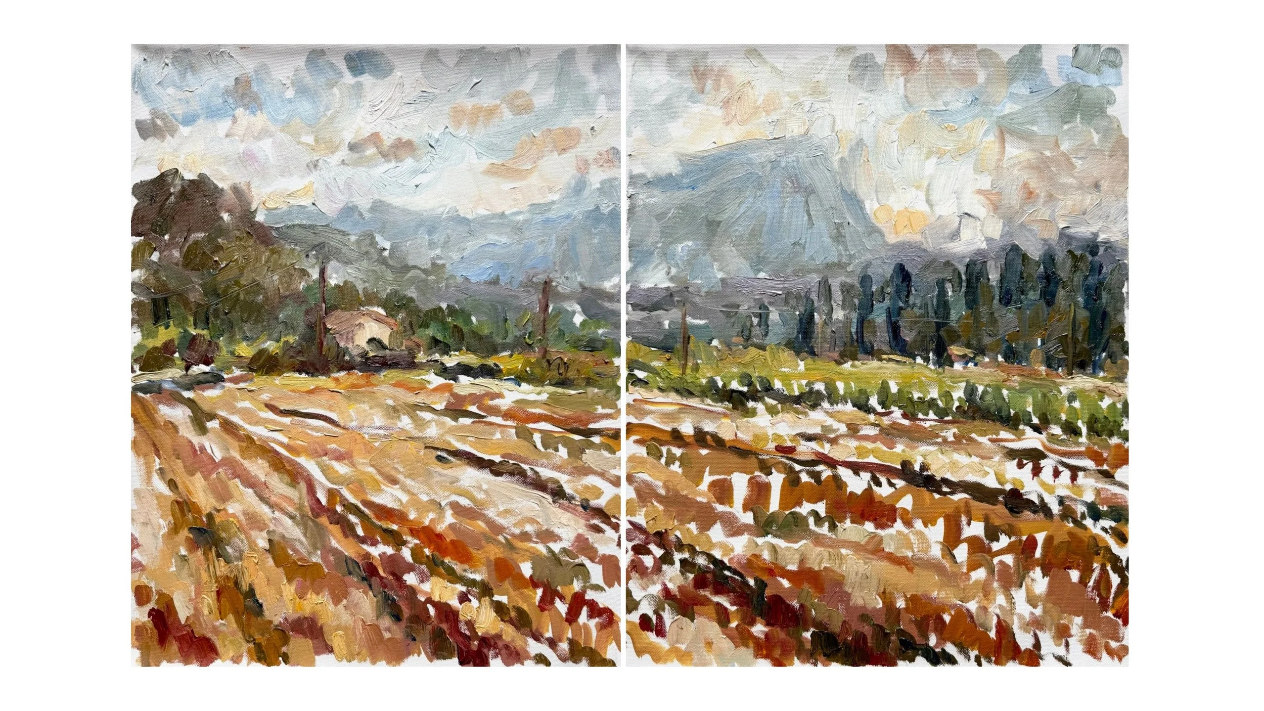 Clare - Summer 2026 Diptych and Triptychs (18).jpg