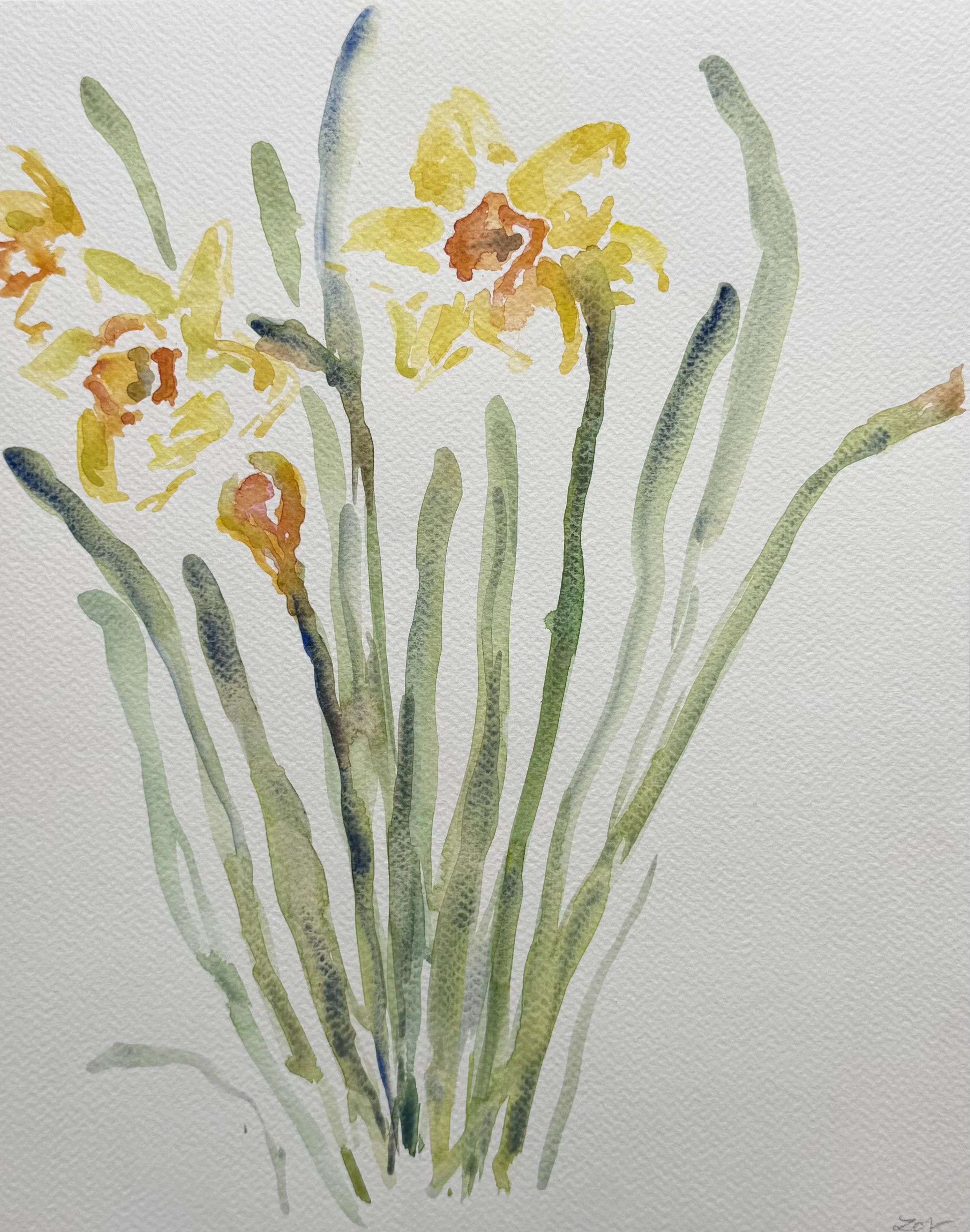 Daffodils, 11x14, $375(5).jpeg
