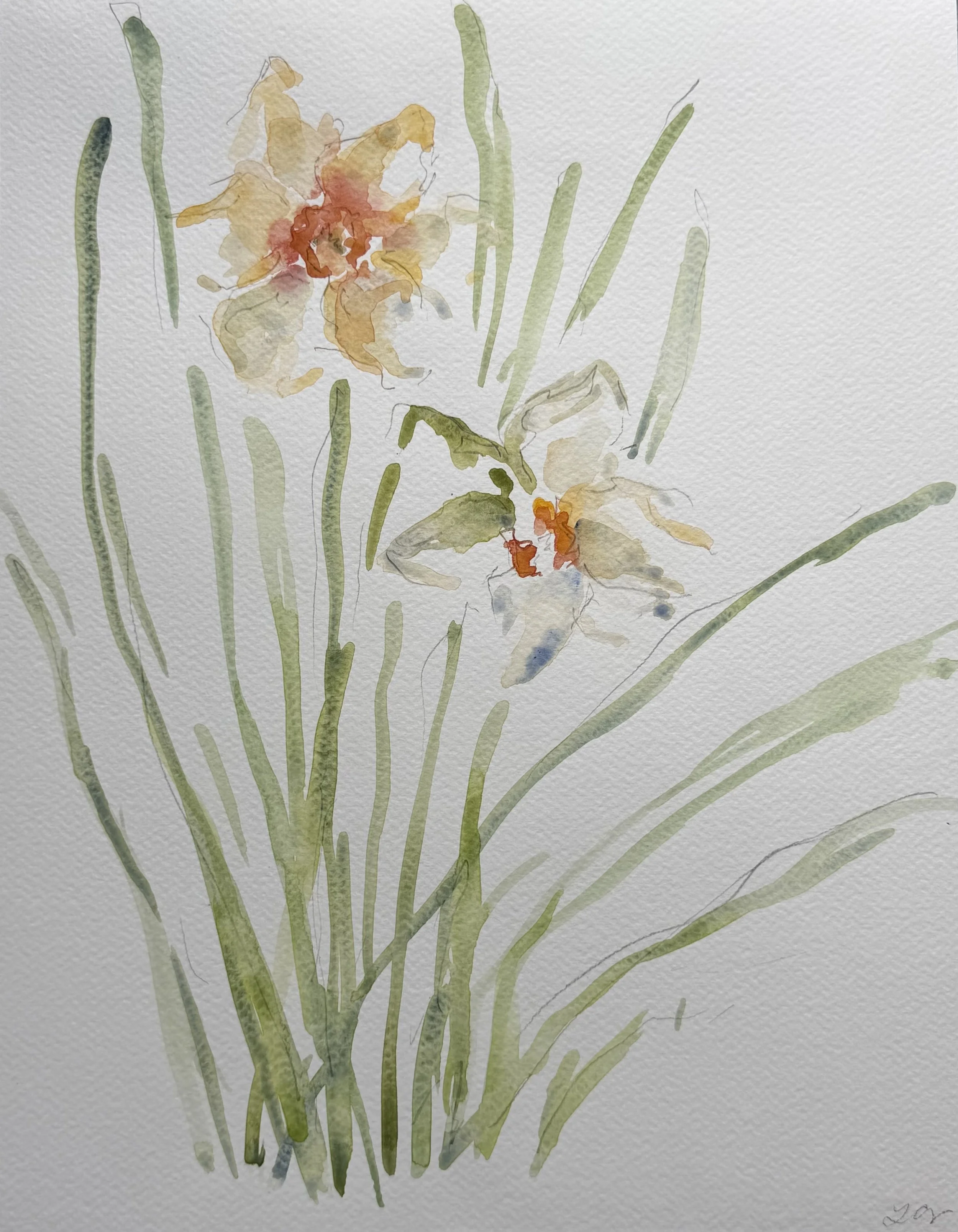 Daffodils, 11x14, $375.jpeg