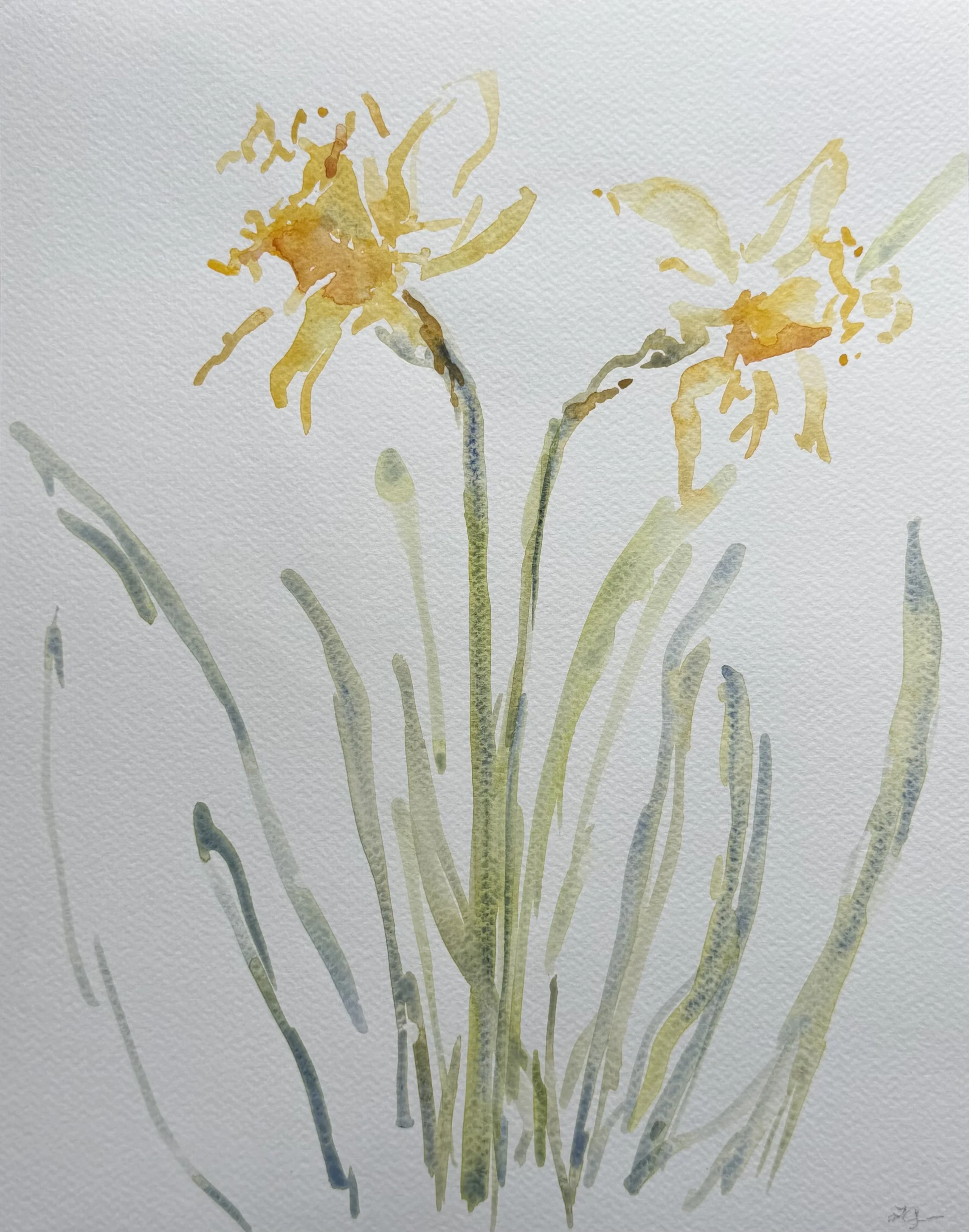Daffodils, 11x14, $375(6).jpeg