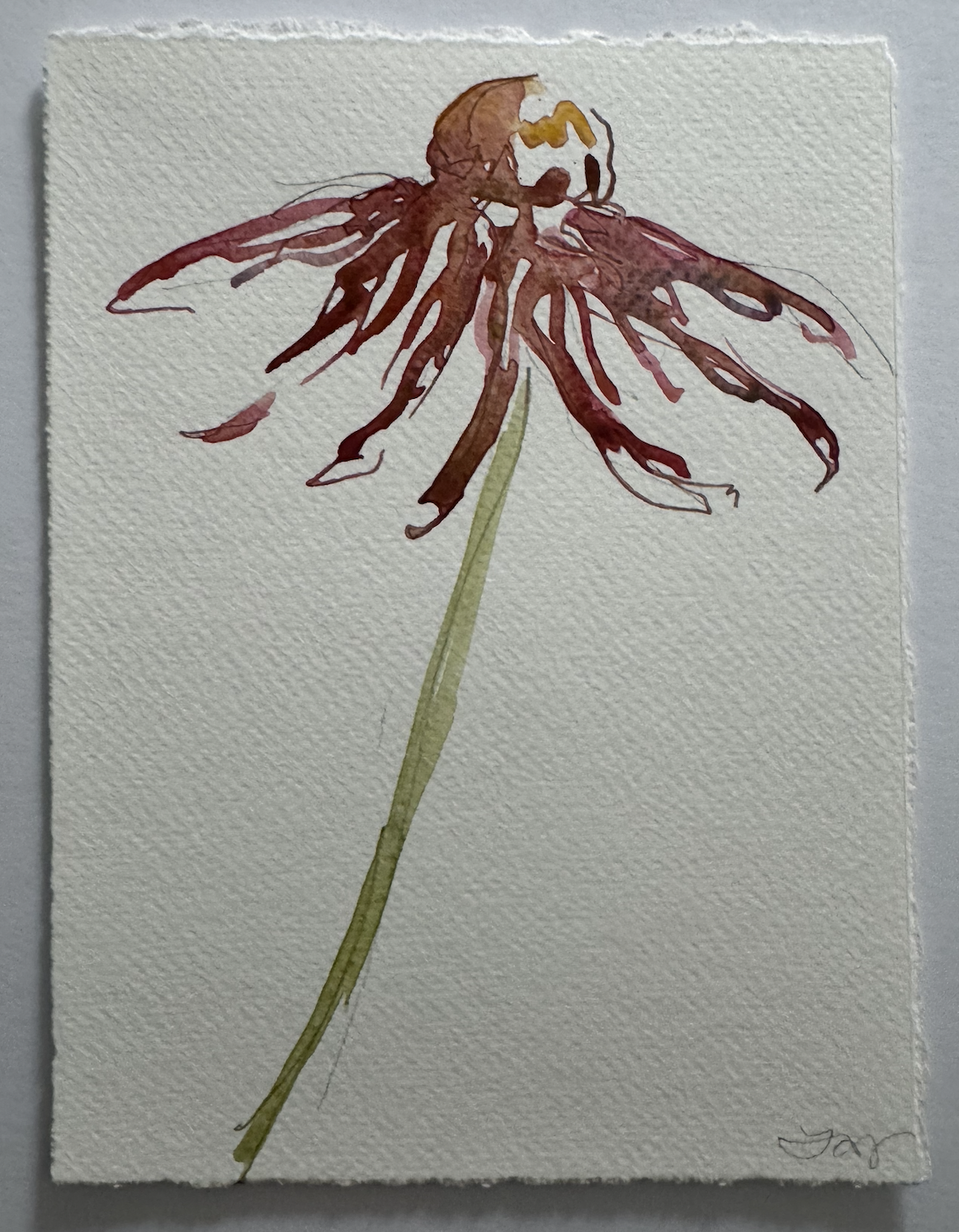 Screenshot 2026-01-15 at 6.12.55 PM.png