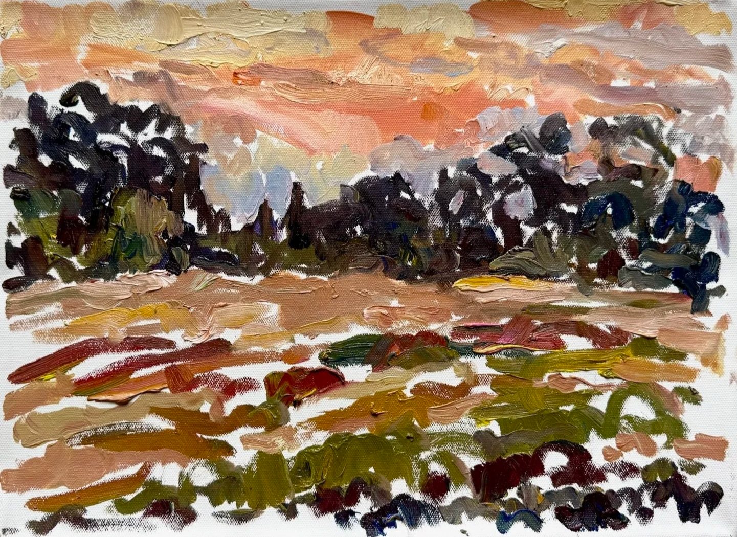 After+sunset+in+the+countryside%2C+Aix-en-Provence%2C+July+26%281%29.png