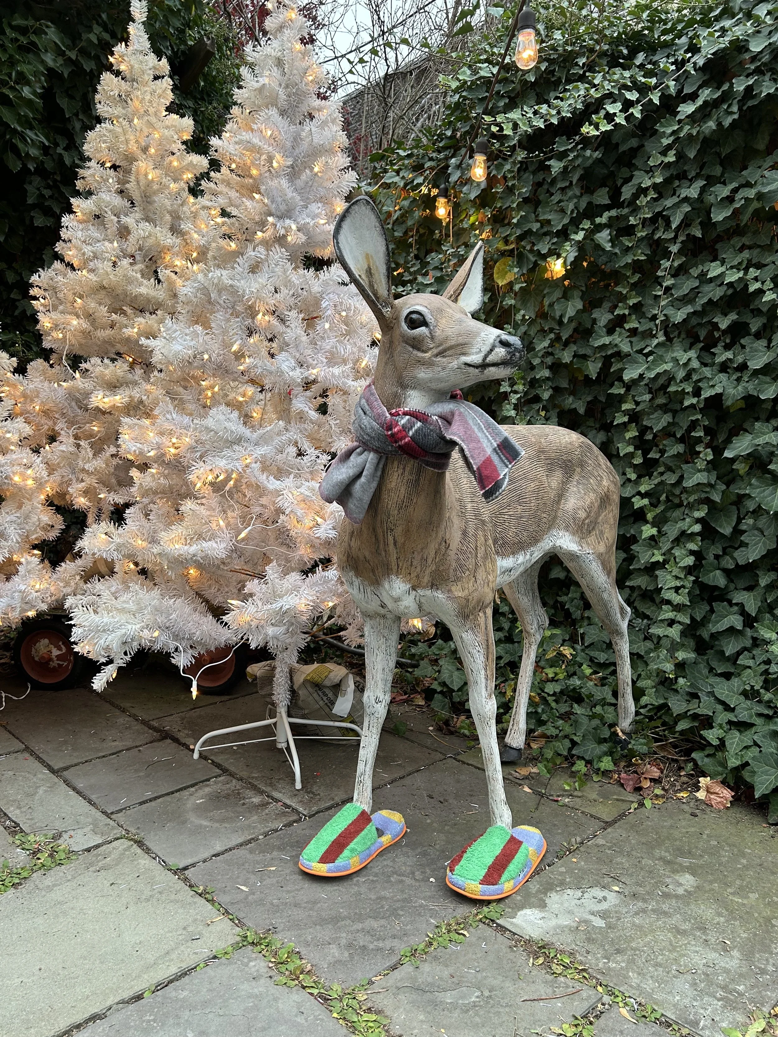 A Little Winter’s Nap for Our Saugerties Shop