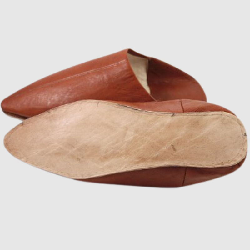 Stylish Camel Leather Pointed Slippers - Comfortable (3).png