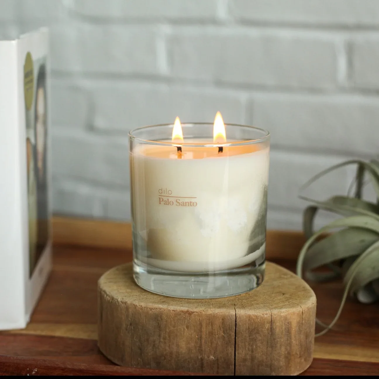 palo-santo-candle-dilo-1.webp