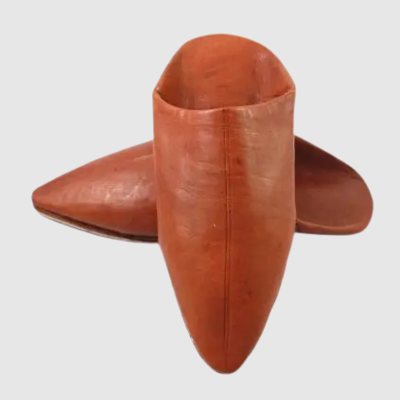 Bohemia - Leather Pointed Slippers in Camel