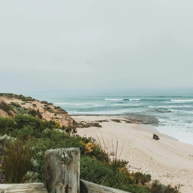 coast.webp