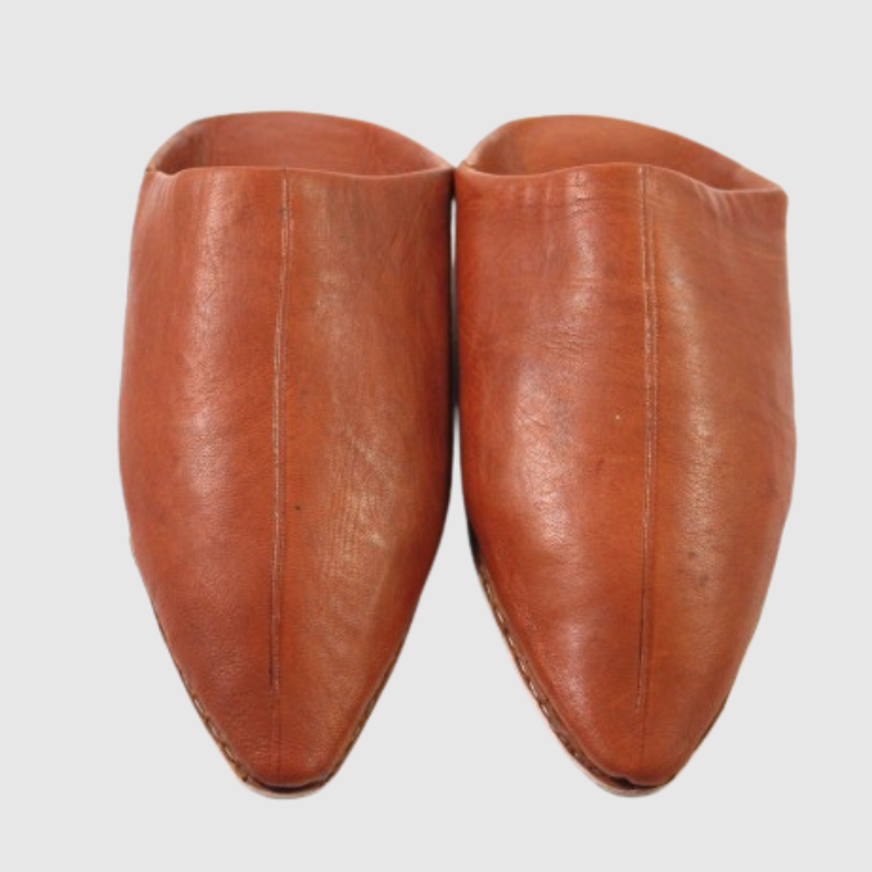 Stylish Camel Leather Pointed Slippers - Comfortable.png