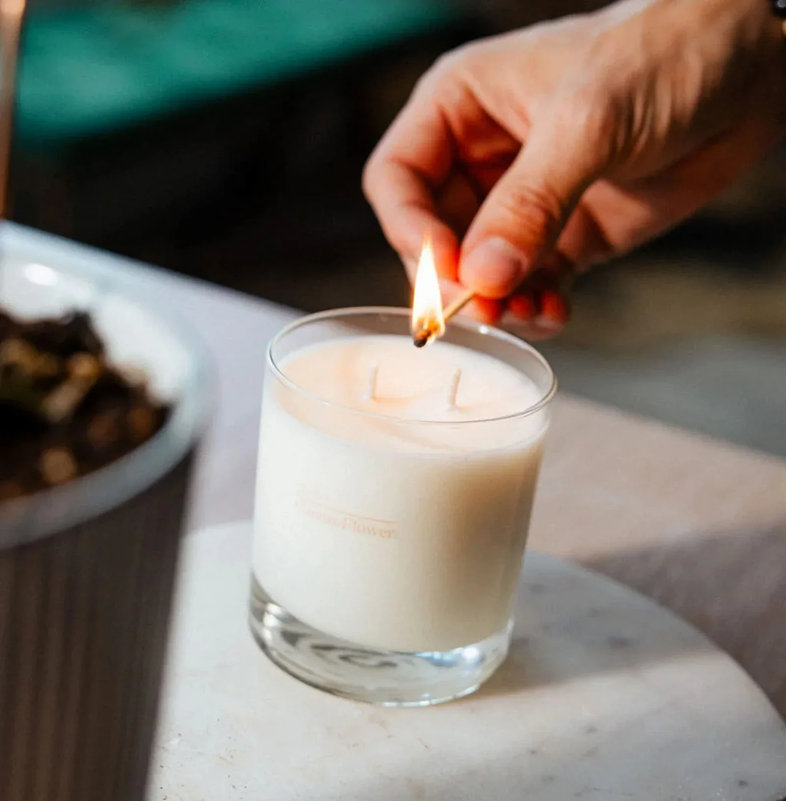 dilo-cactus-flower-candle-2.webp