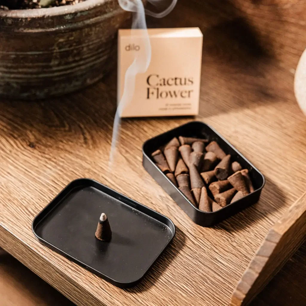 dilo-cactus-flower-incense-cones.webp