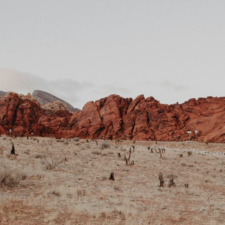 desert.webp