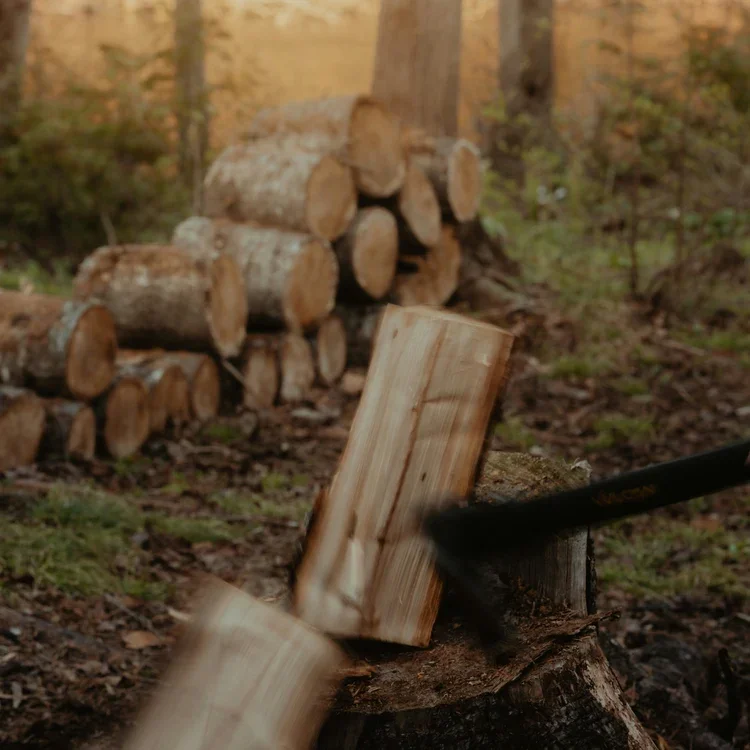 lumberjack_5.webp