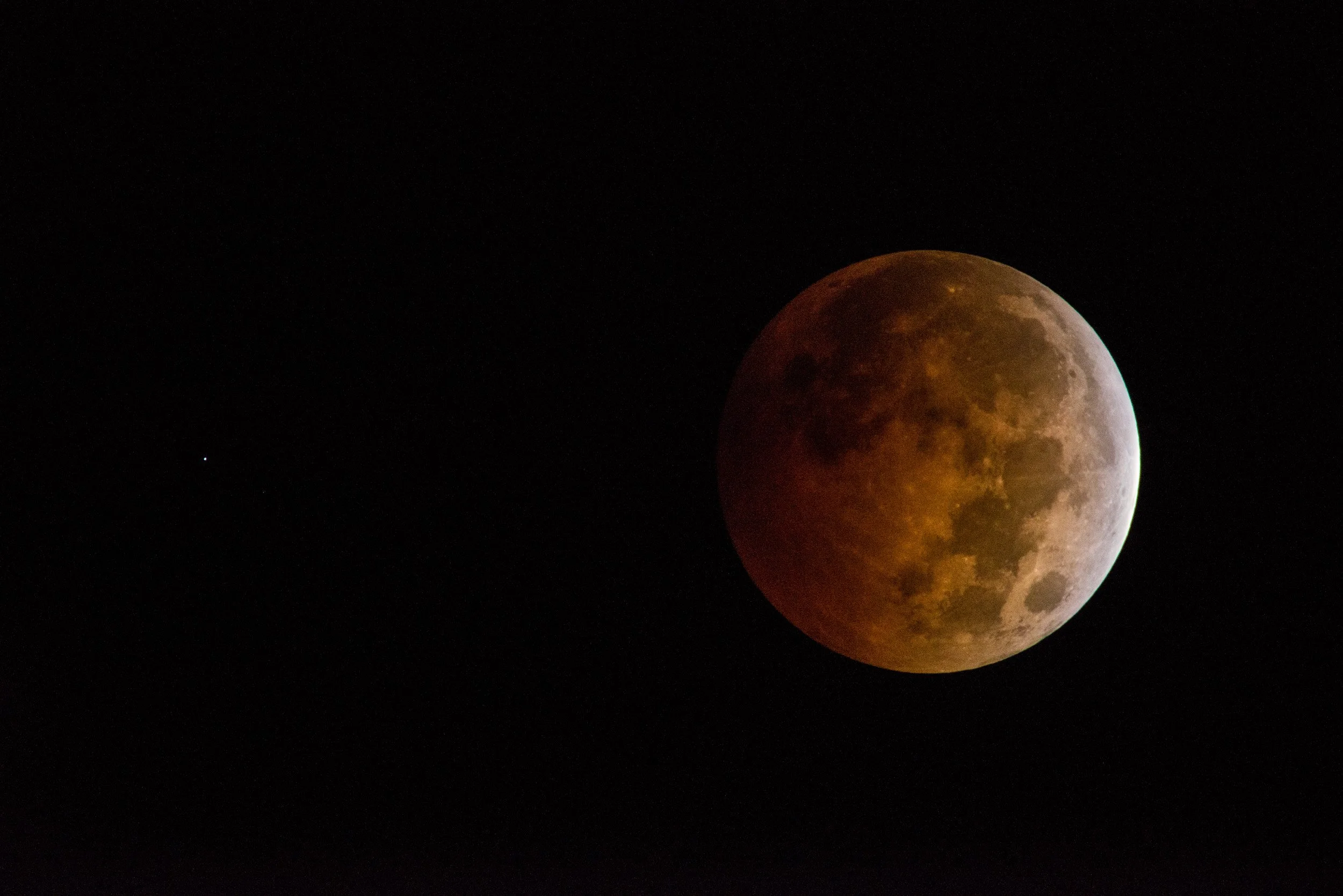 _DSC3433.jpg