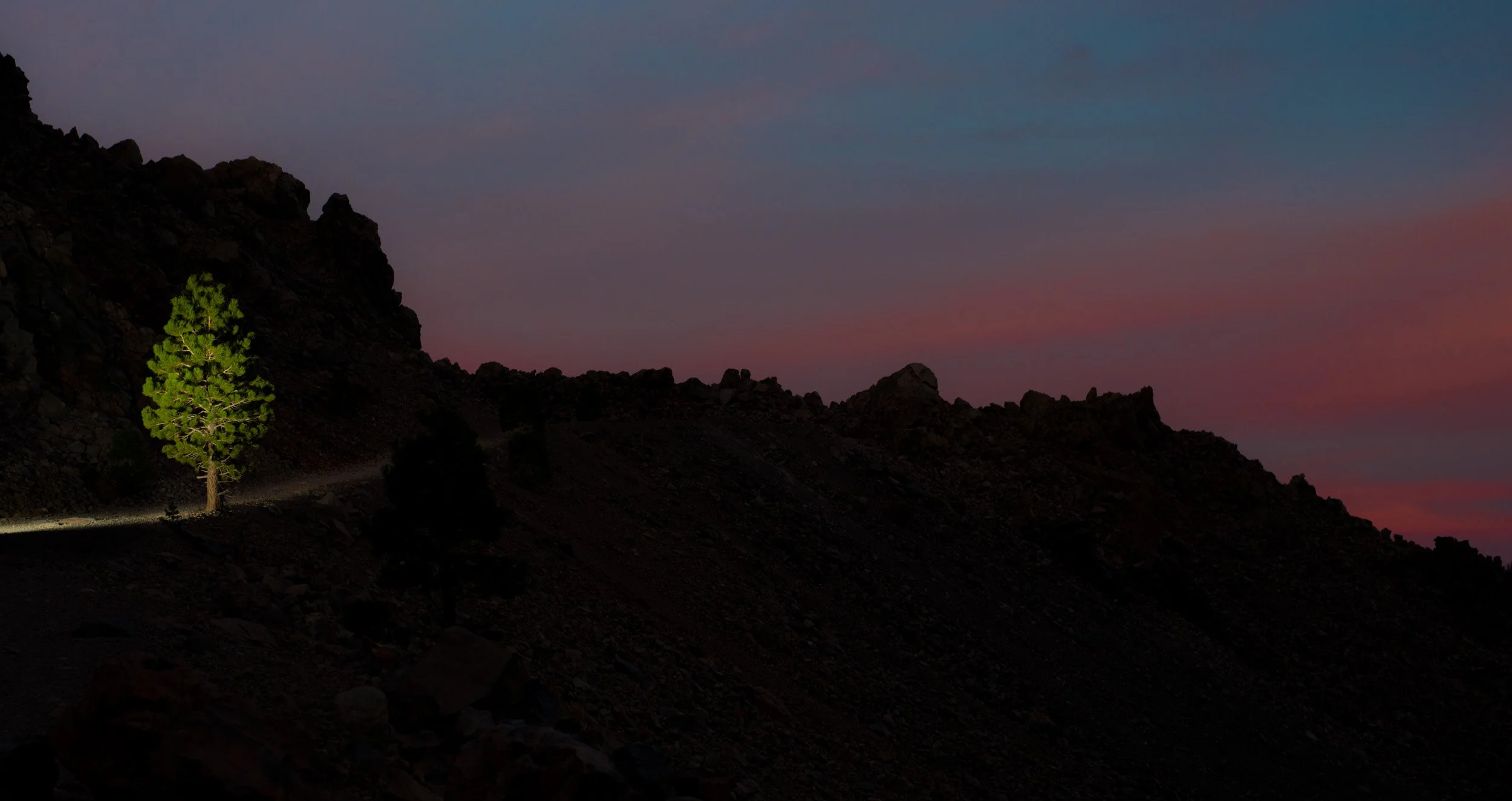 _DSC1065.jpg
