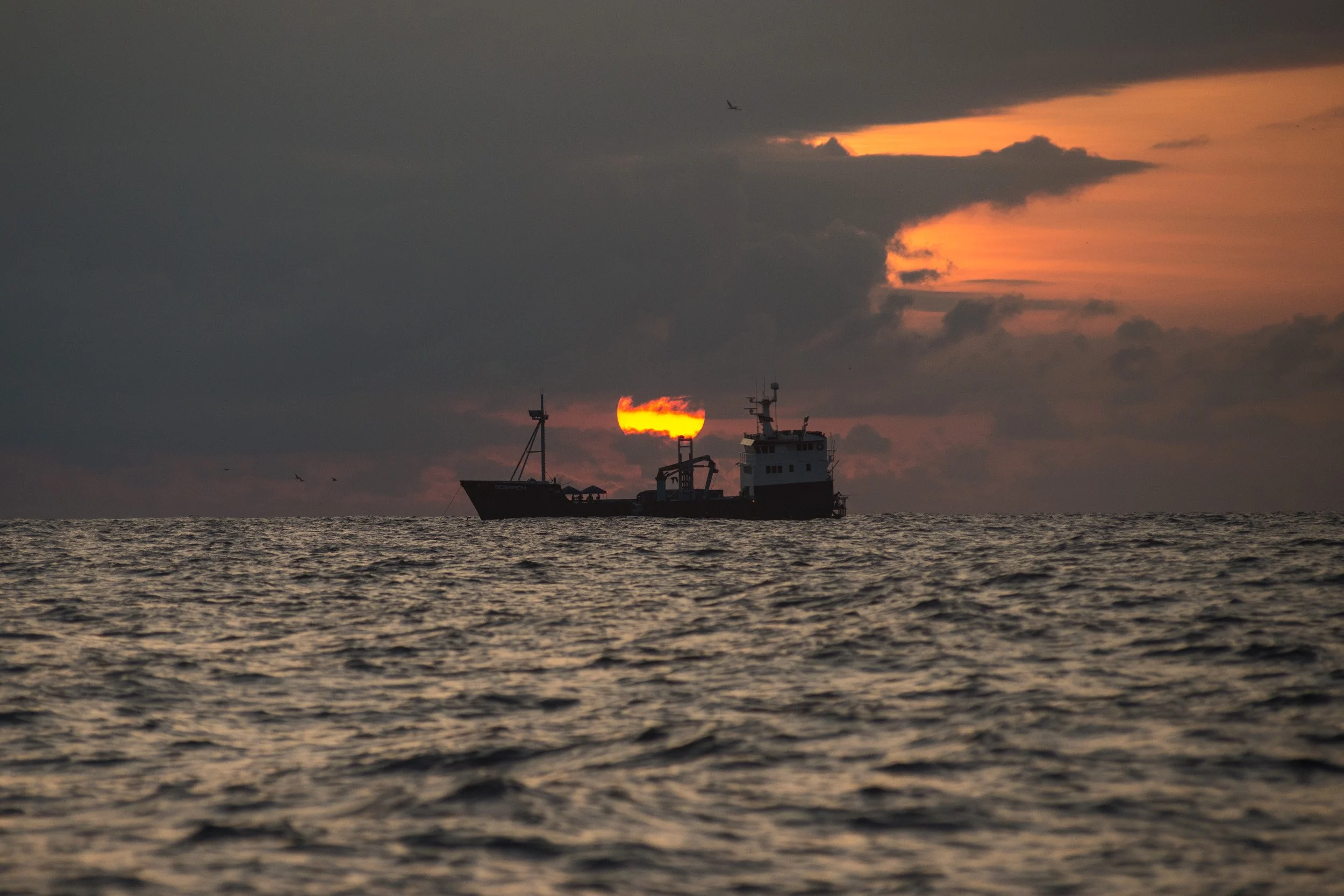 DSC_7689.jpg
