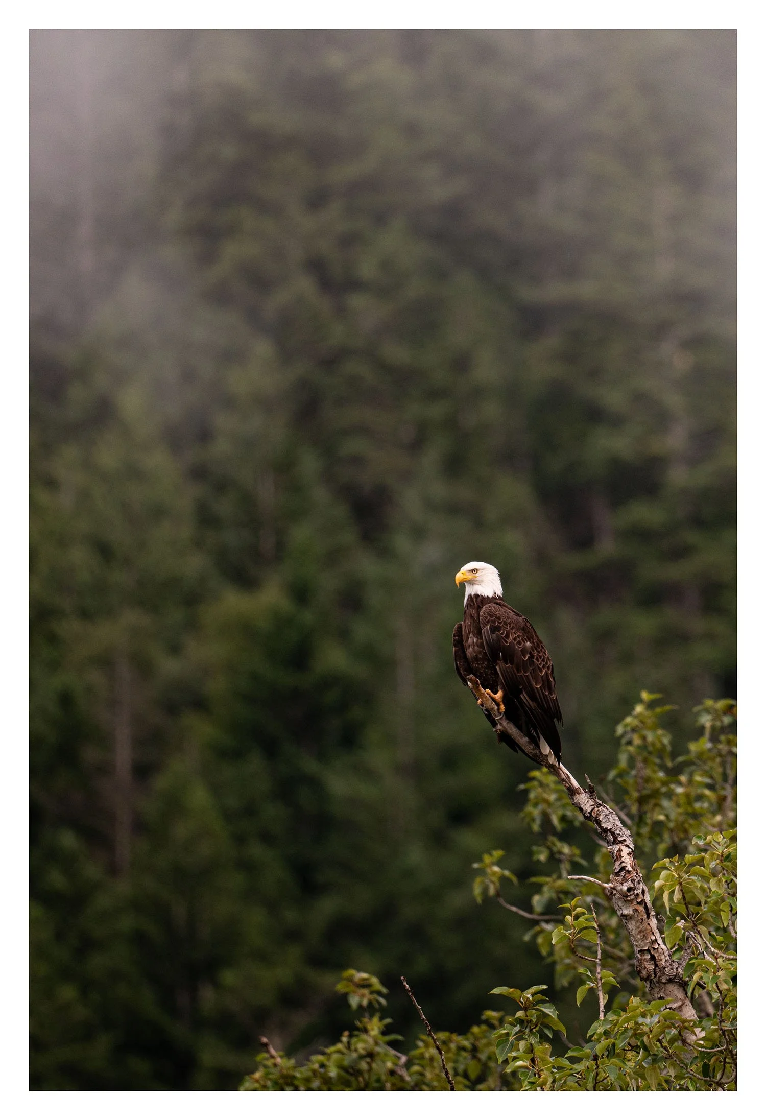 DSC_4552.jpg