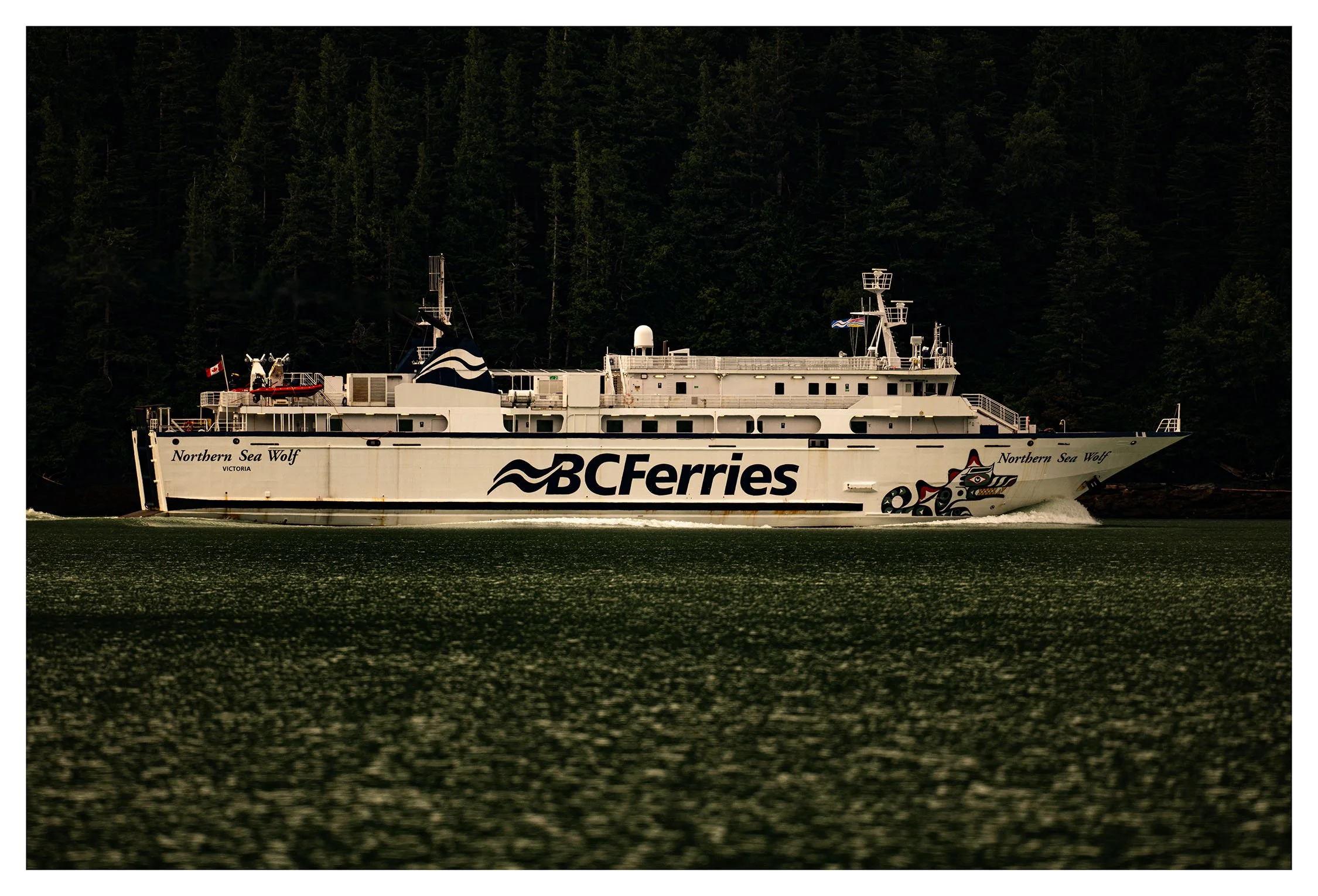 DSC_4582.jpg