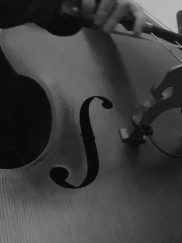 🙏THE GREAT BASS BRAISE🙏

playing a solo set tomorrow evening (Wednesday) to begin this wonderful night of bass. it may sound something like this, at times. I may have tapes and a zine to sell to you. come to the stone circle theatre at 7 pm for mor