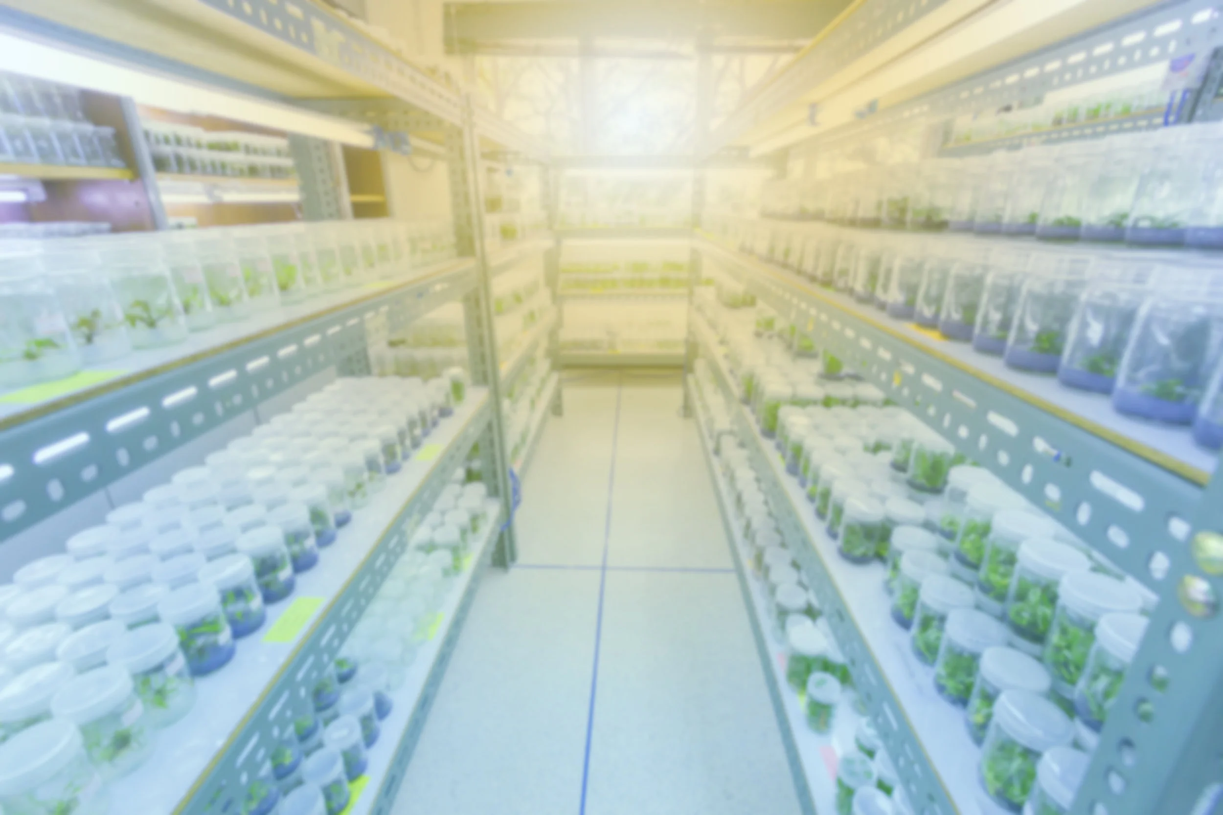 Tissue Culture.jpg